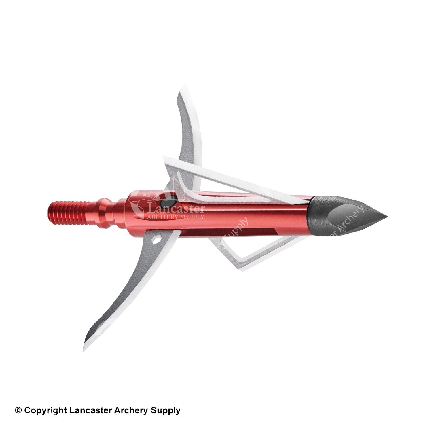 Bloodsport Gravedigger Extreme Broadheads - 3 Blade Fixed Archery Broadheads for Hunting Deer, Elk & Big Game - Perfect for Crossbow & Compound Bow Hunters