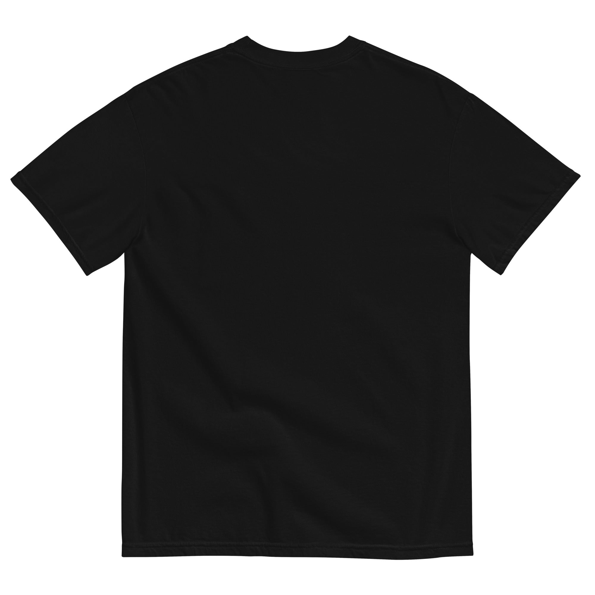 East Co. Grackles Garment Dyed T-Shirt for Men - Vintage Washed Cotton Tee - Casual Streetwear for Everyday Wear & Urban Outfits