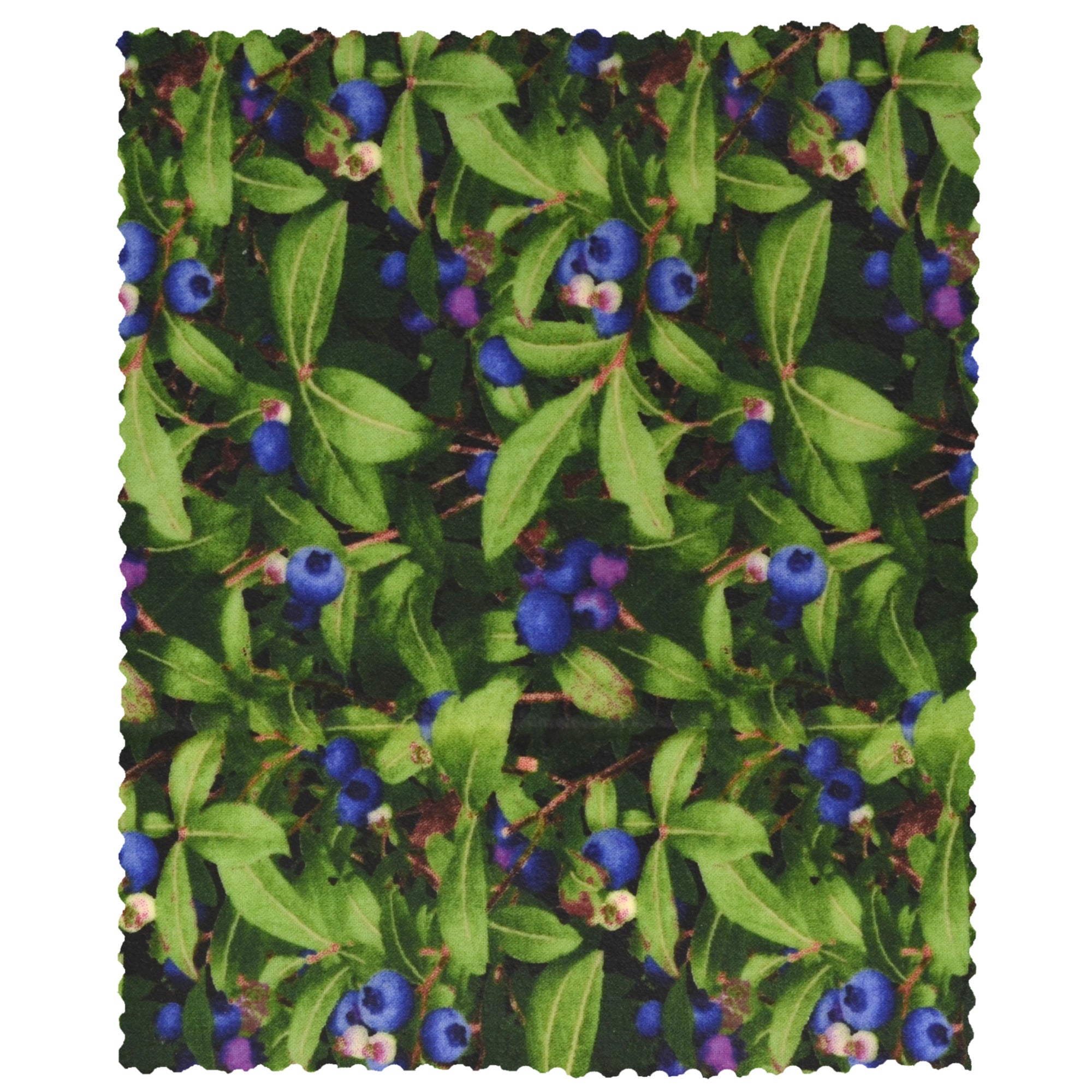 Organic Small Beeswax Food Wrap - Reusable Eco-Friendly Blueberry Print Beeswax Wrap for Snacks, Sandwiches & Food Storage - Sustainable Kitchen Alternative to Plastic Wrap