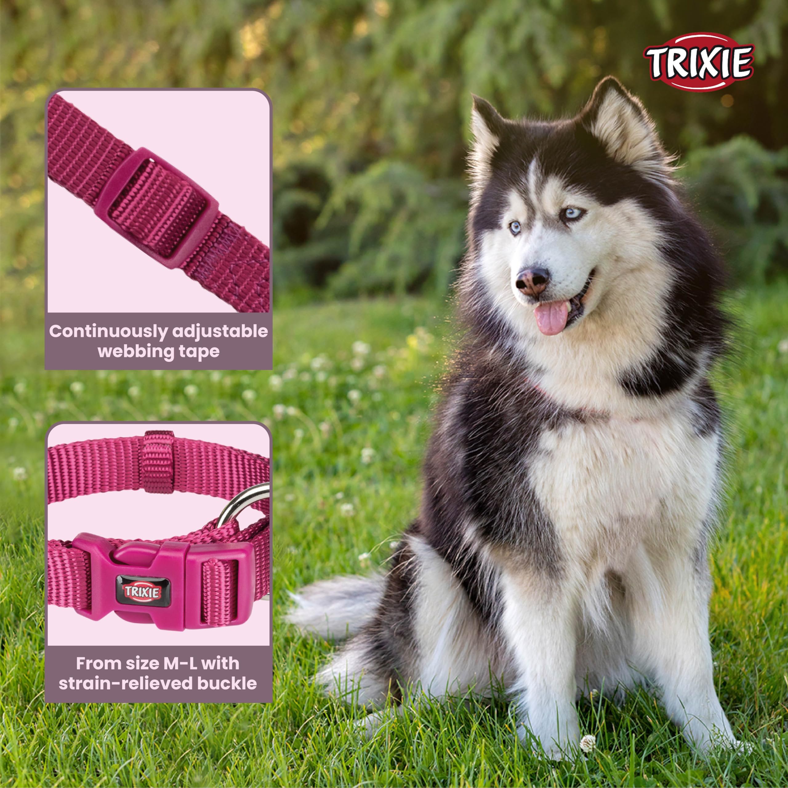 Premium Adjustable Dog Collar with Leash Connector - Stylish Orchid Design for Medium to Large Dogs (35-55cm) - Perfect for Daily Walks, Training & Outdoor Adventures