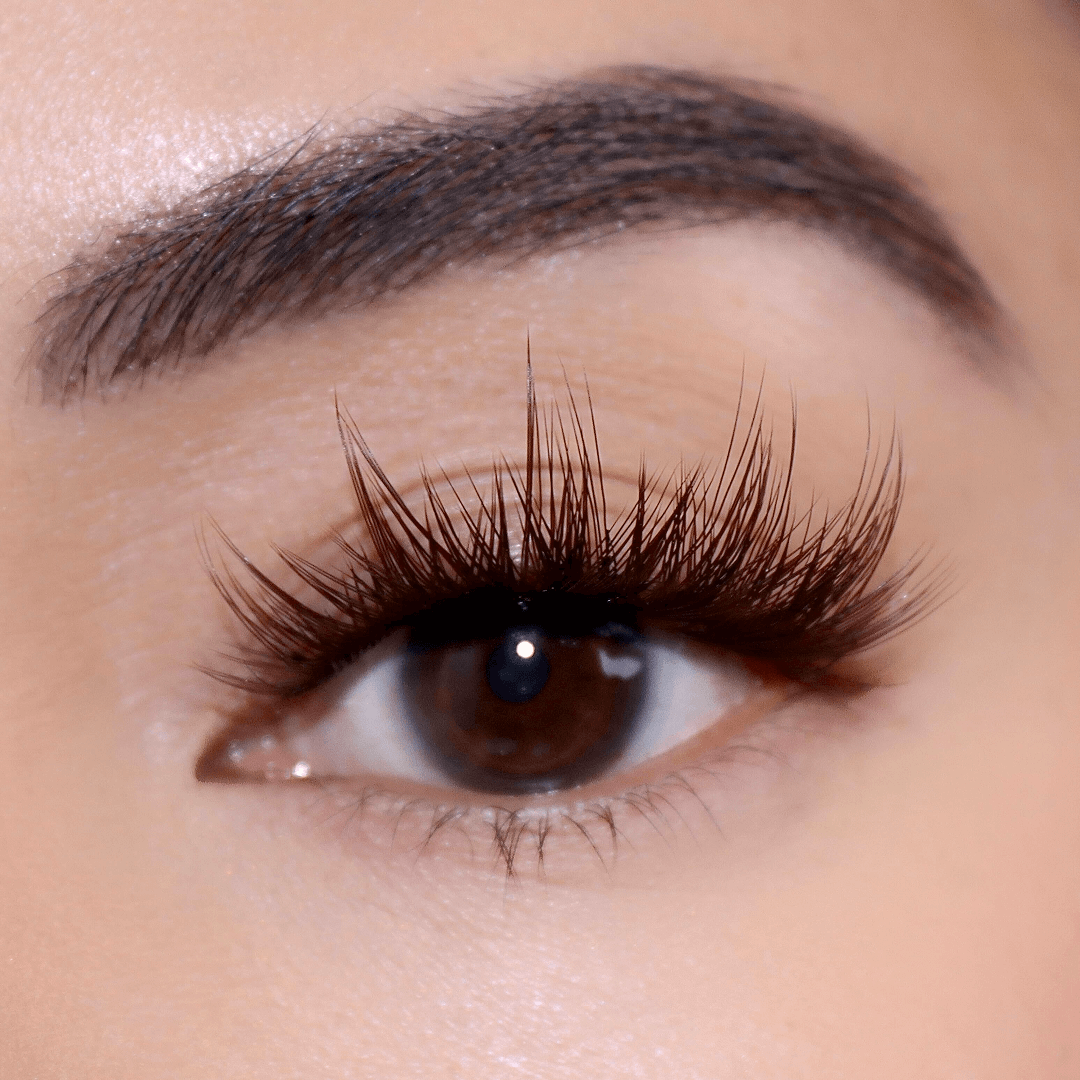 Professional Curated Eyelash Extension Kit - Natural & Dramatic Looks for Every Occasion | Perfect for Bridal, Party & Everyday Wear