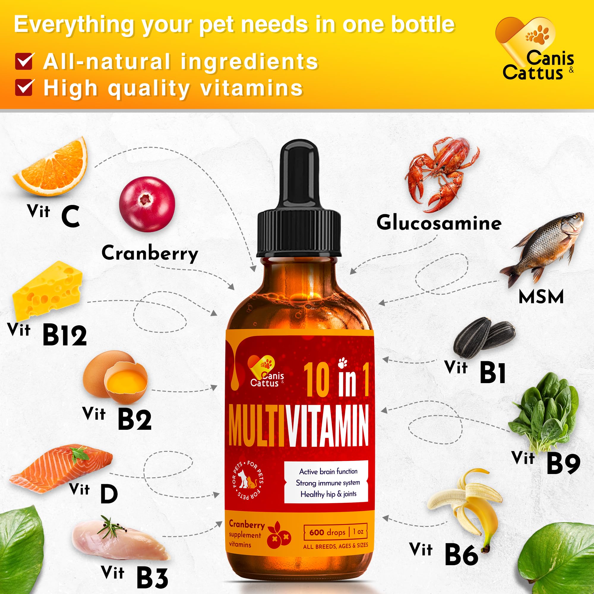 Premium Liquid Multivitamin for Dogs & Cats - Natural & Pure Ingredients (1 oz) - Supports Immune Health, Joint Care & Energy Boost for Pets