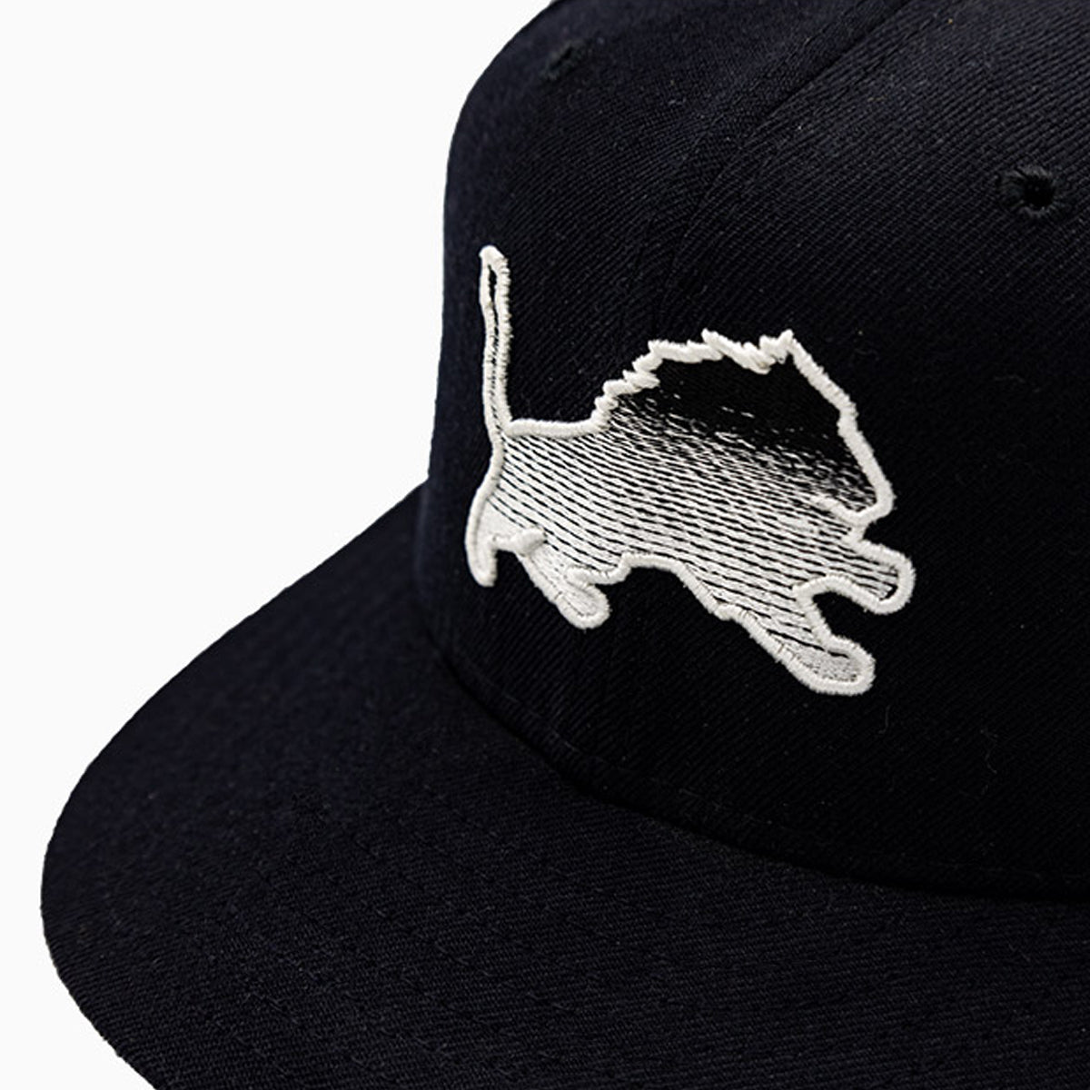 Detroit Lions NFL 59FIFTY Fitted Hat - Official Snapback Cap for Men & Women - Perfect for Football Games, Tailgating & Fan Gear Collection