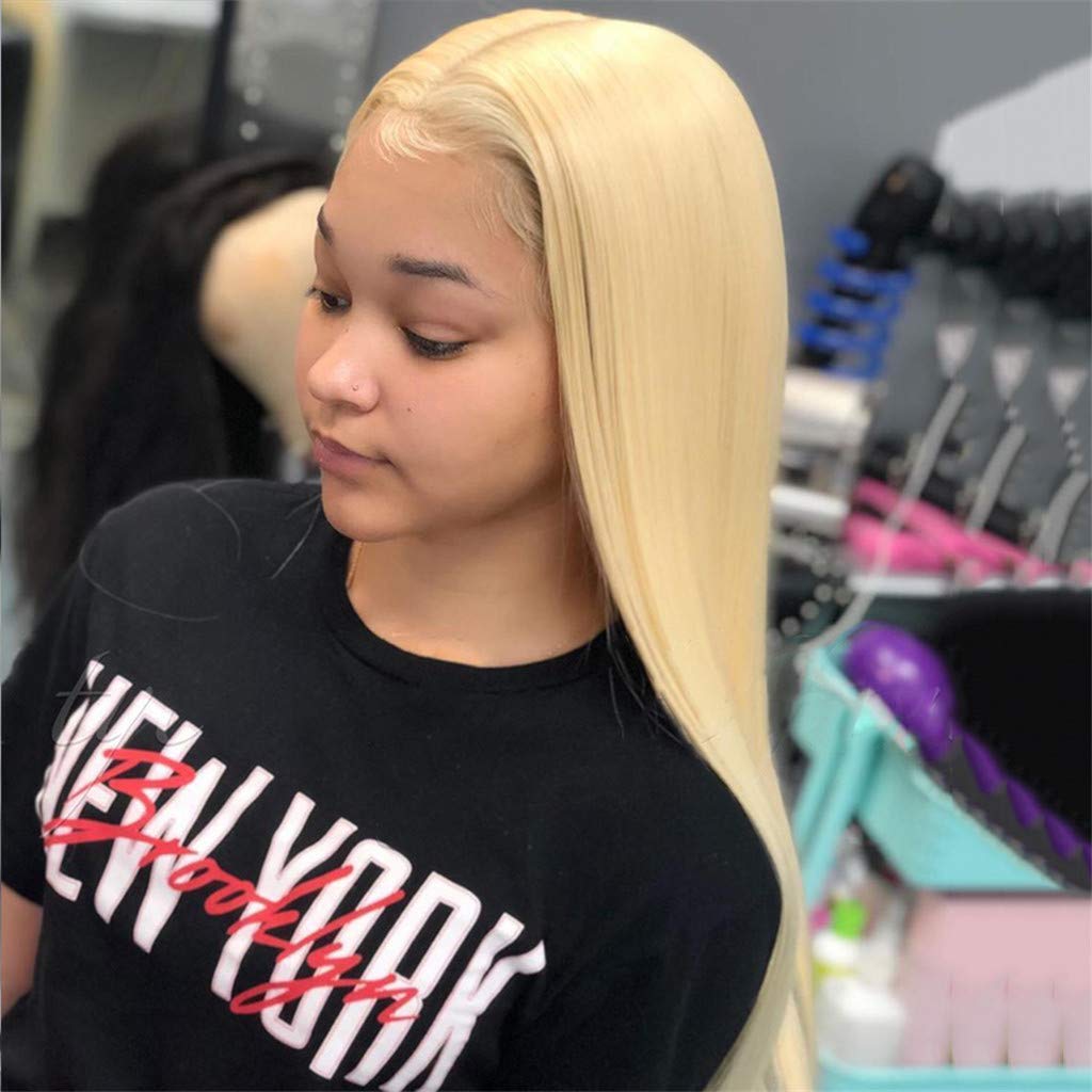 250% Density #613 Blonde Lace Front Wig - Pre Plucked Straight Human Hair Wig for Women (20 Inch) | Natural Look for Daily Wear, Cosplay & Special Occasions