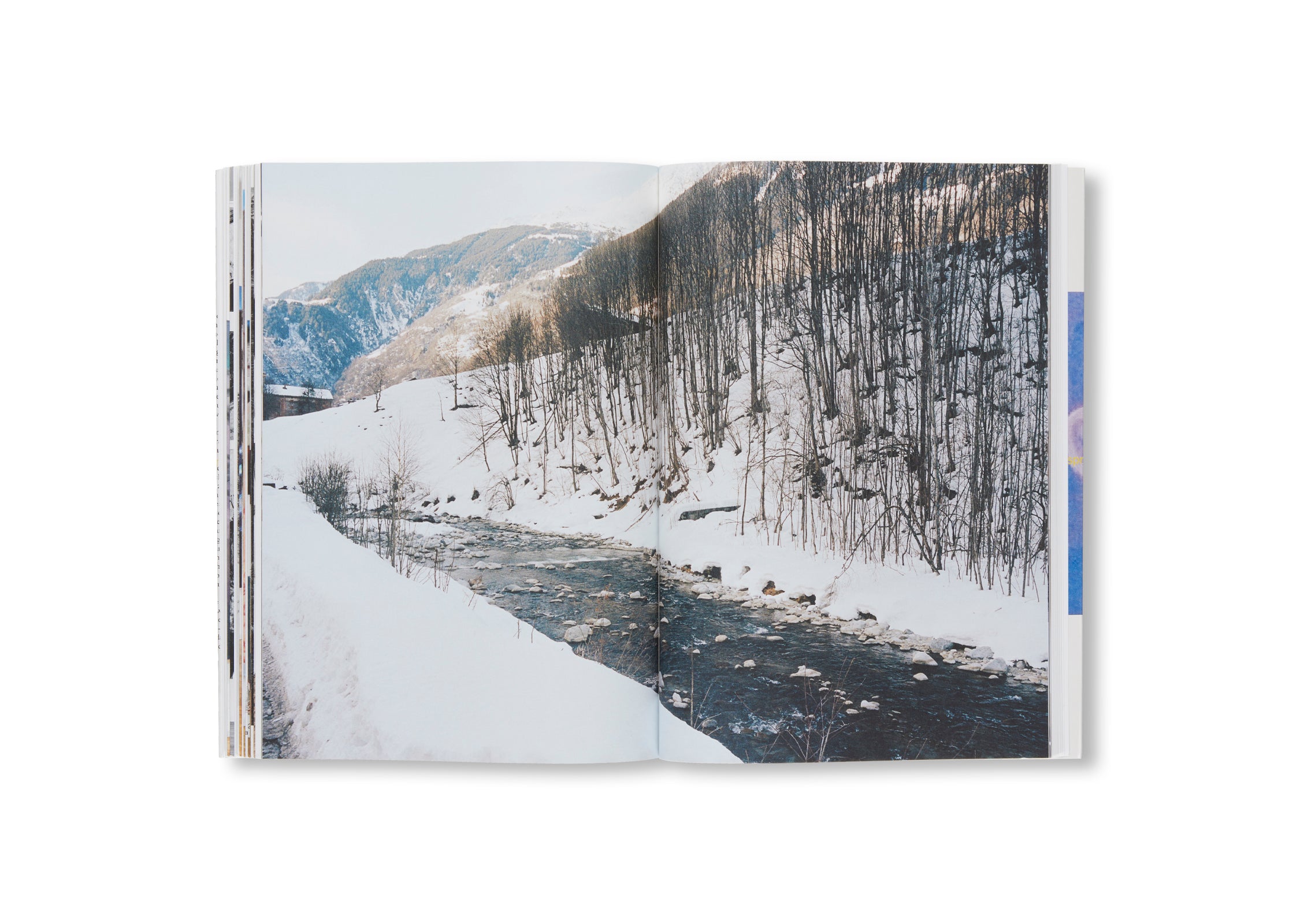 MEINEJUDEN by Miriam Cahn - Contemporary Art Book Collection | Jewish Art & Culture Exploration | Perfect for Art Lovers, Collectors & History Enthusiasts