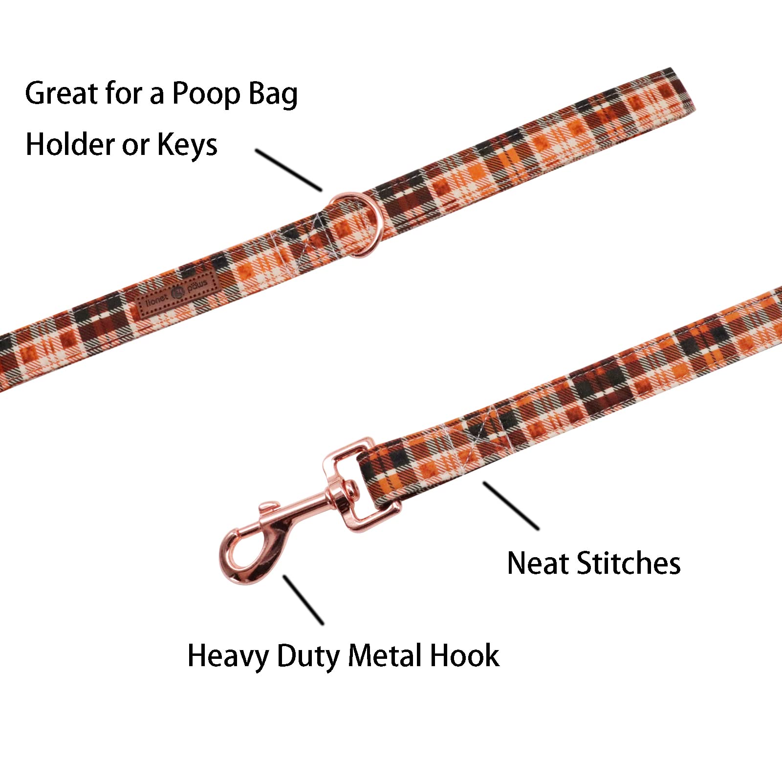 Lionet Paws Dog Leash and Matching Collar Set - Adjustable for Small, Medium & Large Dogs - Perfect for Walking, Training & Outdoor Adventures