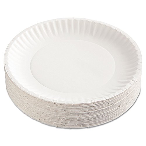 AJM Packaging 9 Inch White Paper Plates - 100 Count Pack | Disposable Dinner Plates for Parties, Picnics & BBQs | Eco-Friendly & Sturdy Disposable Tableware