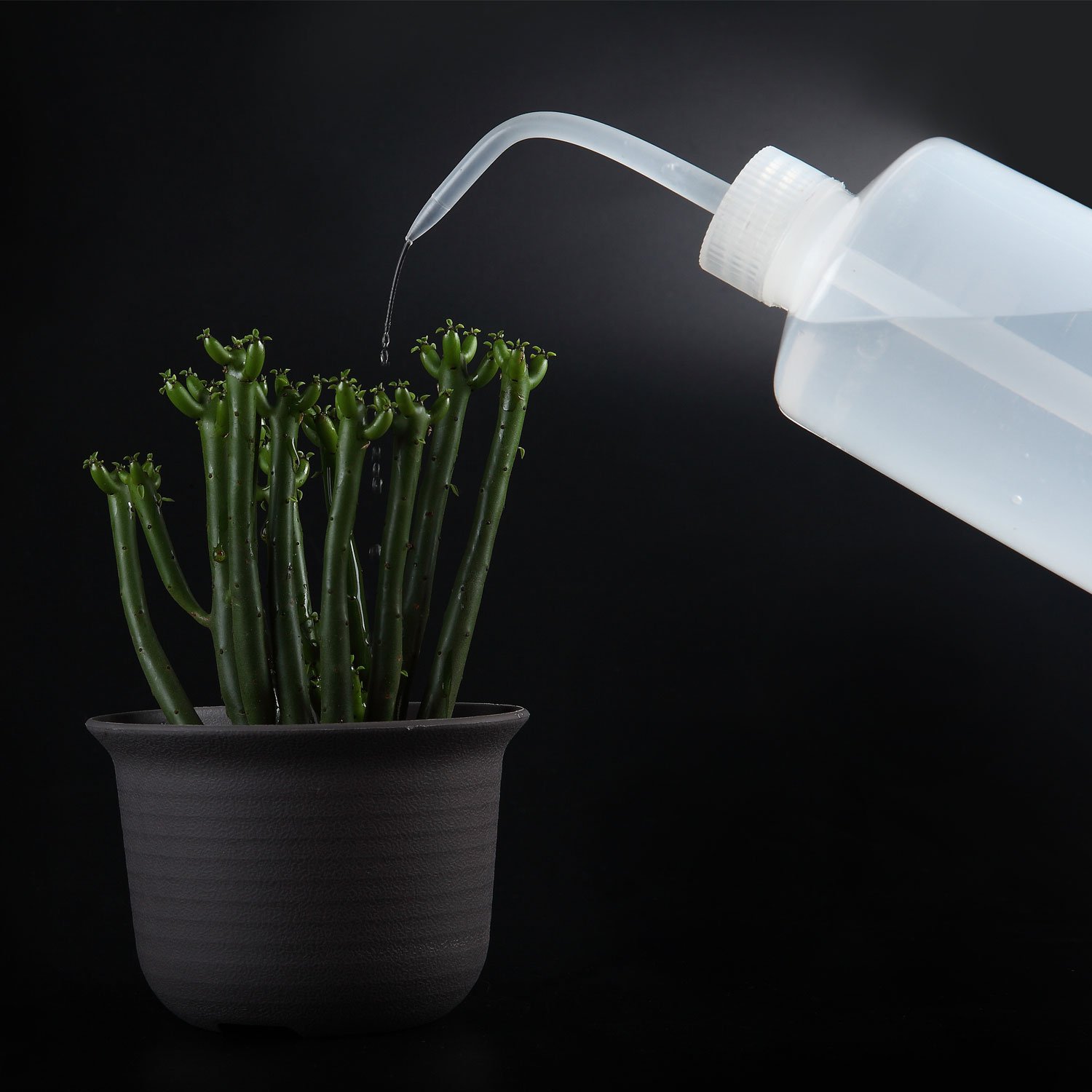 500ml Plastic Squeeze Watering Bottle for Plants - Transparent Garden Watering Can for Succulents, Indoor & Outdoor Gardening Tools - Perfect for Houseplants, Flowers and Herb Gardens