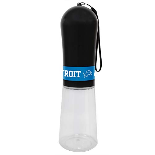 Detroit Lions