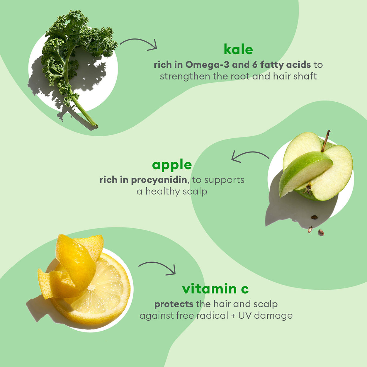 Organic Kale & Apple Replenishing Superfood Hair Conditioner - Hydrating & Nourishing for Dry, Damaged Hair - Perfect for Daily Hair Care & Salon-Quality Results at Home