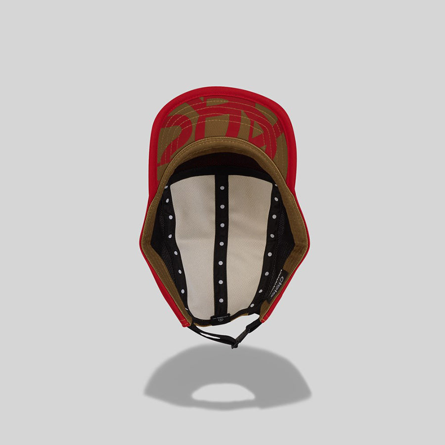 ALZCap SC Standard Stripes Edwards - Premium Quality Baseball Cap for Men & Women - Comfortable & Stylish for Outdoor Sports, Hiking, and Casual Wear