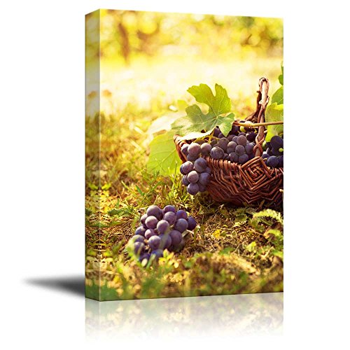 Grapes Harvest