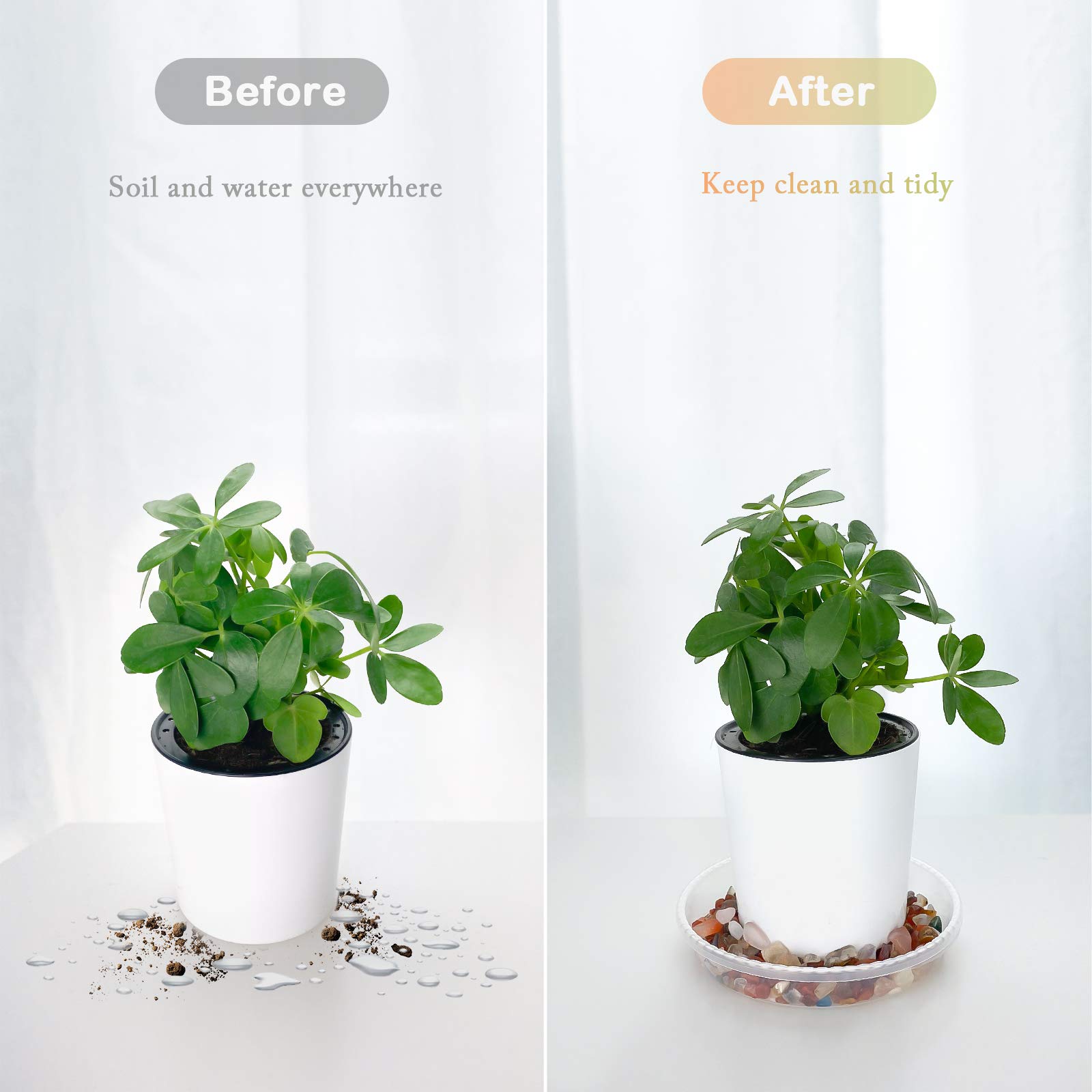 6 Inch Clear Plastic Plant Saucers - 6 Pack Thick Drip Trays for Indoor Flower Pots, No Holes - Perfect for Houseplants, Potted Plants & Plant Stand Protection
