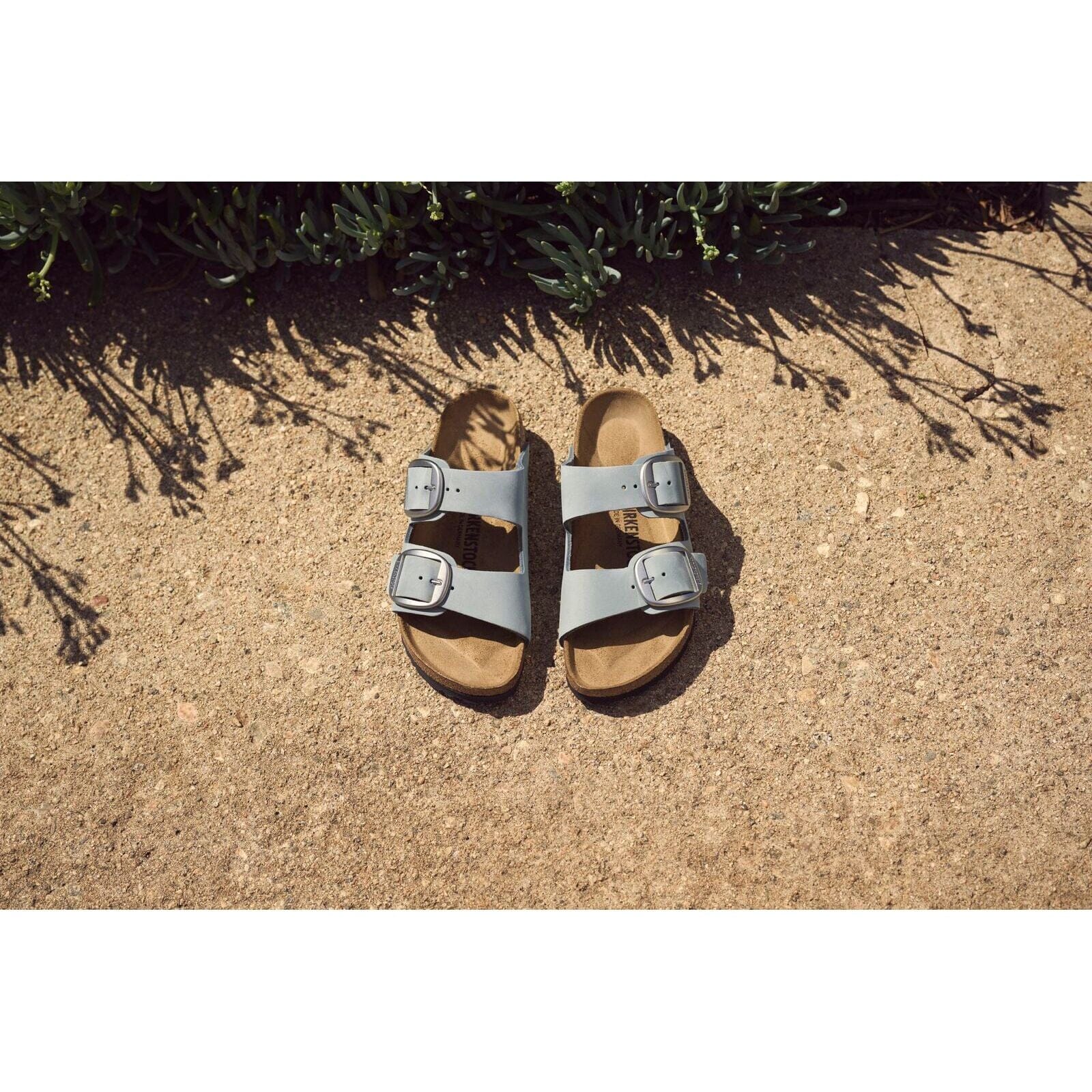BIRKENSTOCK ARIZONA BIG BUCKLE Sandals - Comfortable Leather Footbed Slides for Women & Men | Perfect for Casual Wear, Beach, and Summer Outfits