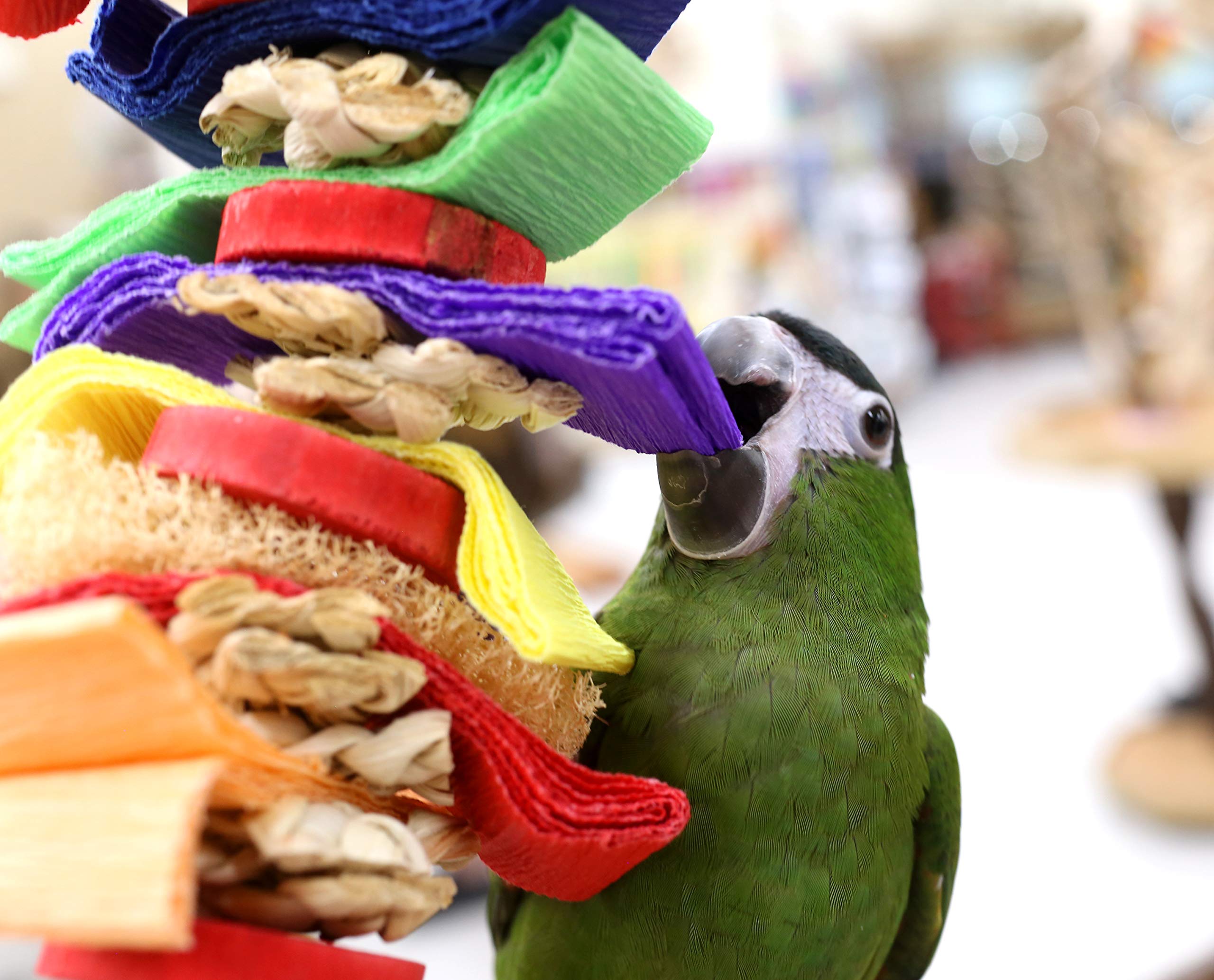 Colorful Loofah Shreddable Parrot Chew Toy for Medium Birds - Perfect for Foraging, Playtime & Beak Exercise