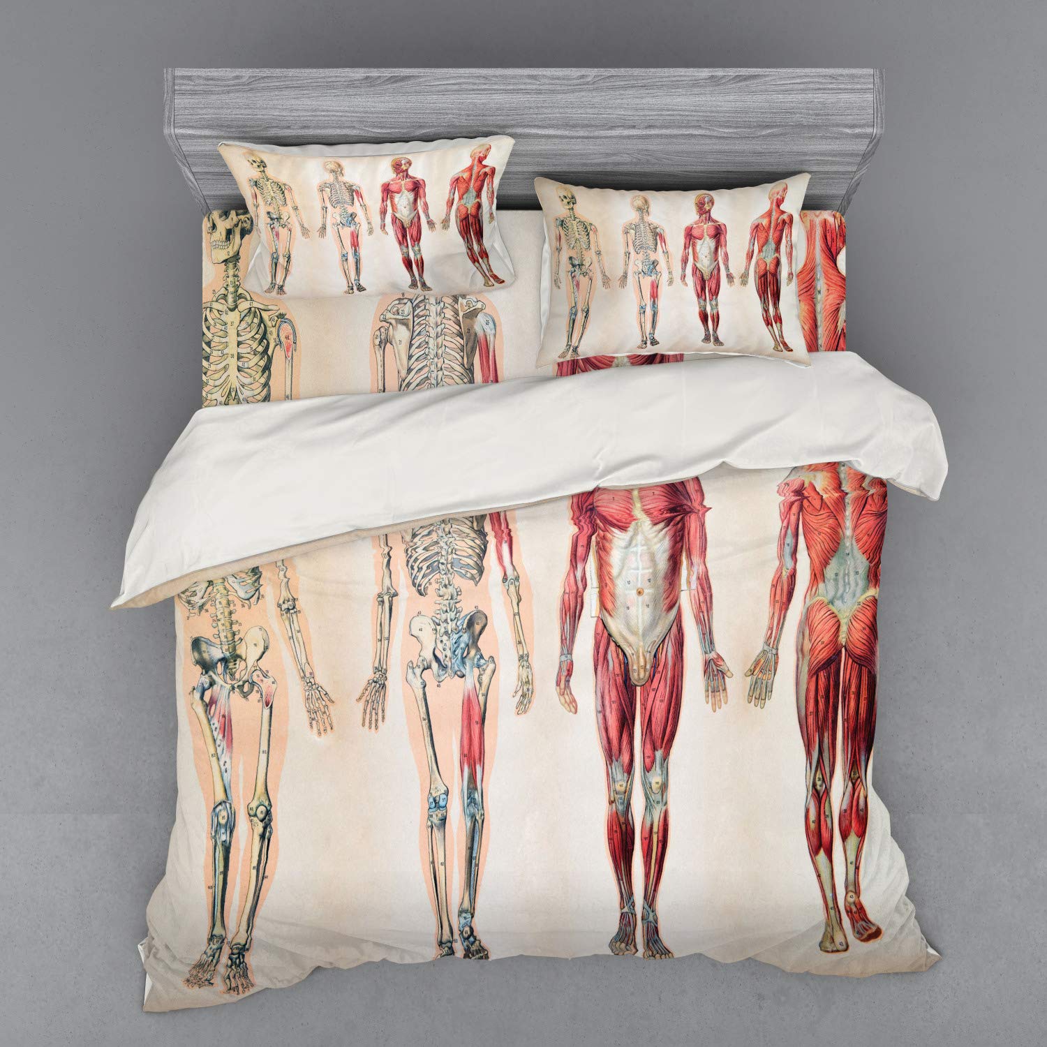 Ambesonne Human Anatomy Duvet Cover Set - Vintage Body Skeleton & Muscle System Chart - 4 Piece King Size Bedding Set with Shams & Fitted Sheet in Ruby Cream - Perfect for Medical Students, Science Enthusiasts & Unique Home Decor