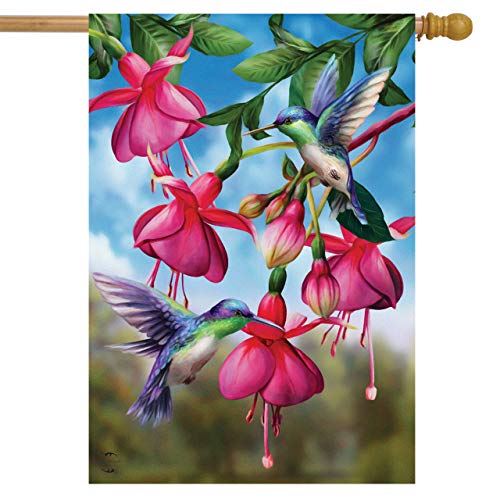 14 - Hummingbirds