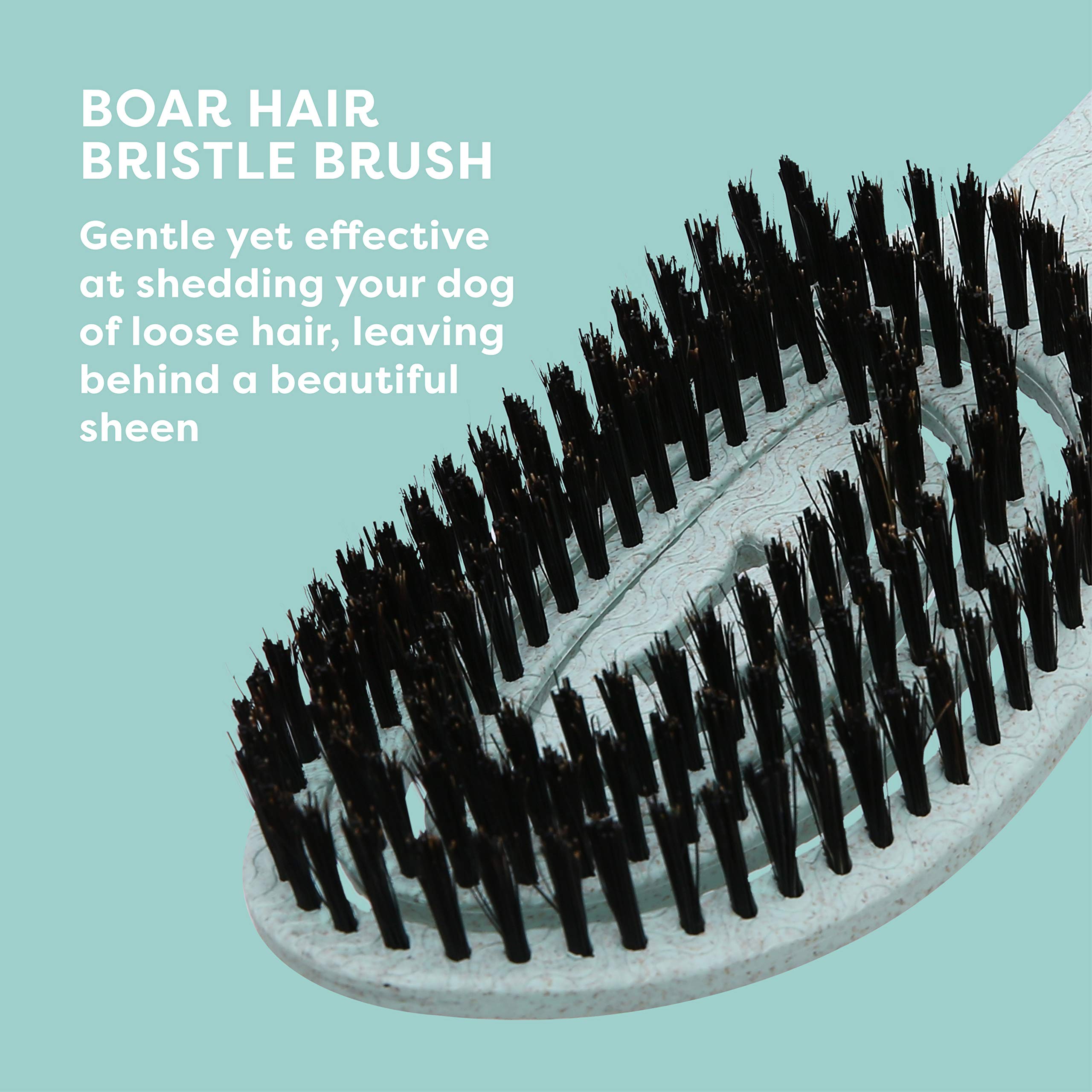 BioSilk for Dogs Eco-Friendly Boar Hair Bristle Brush - Mint Green Pet Grooming Brush with Ergonomic Handle for Shedding Control | 48 Pack | Perfect for Daily Brushing, Detangling & Coat Shine Enhancement