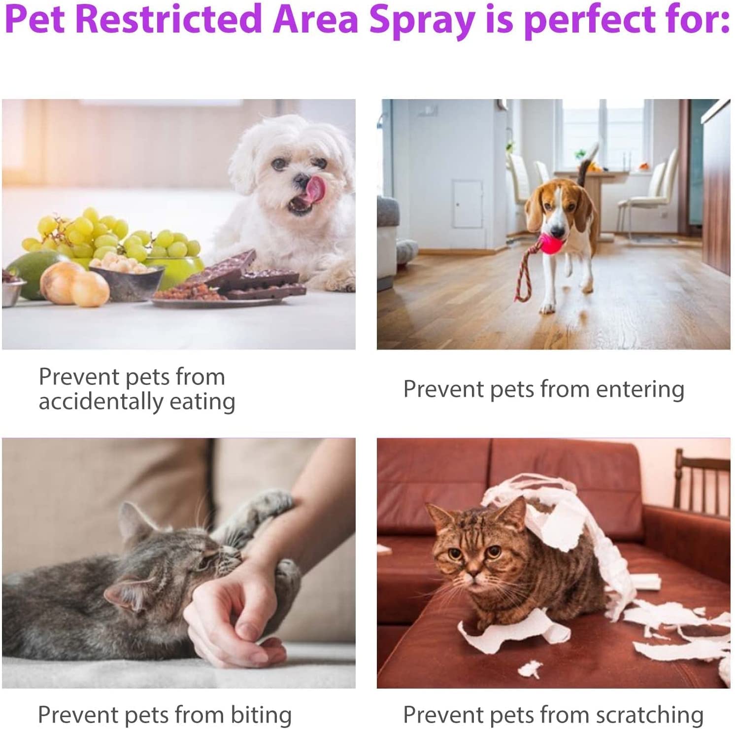 Natural Cat Deterrent Spray for Indoor Use - Effective Anti Scratching Repellent to Protect Furniture & Plants | Stops Biting & Urination | Safe for Indoor & Outdoor Cats | Perfect for Sofas, Curtains & Garden Plants
