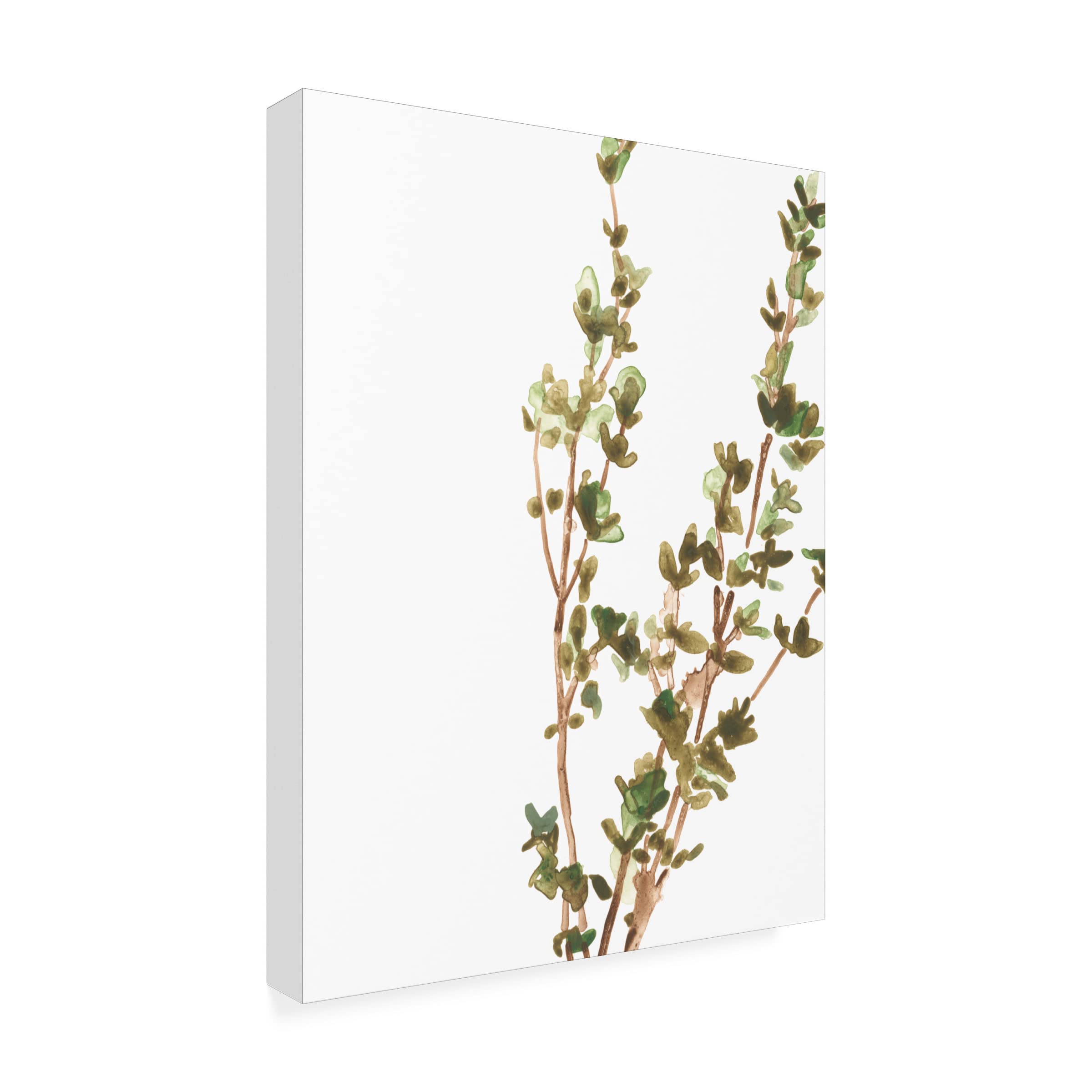 Trademark Fine Art 'Earthtone Herbs II' Canvas Wall Art Print by June Erica Vess - Nature Inspired Botanical Decor for Living Room, Bedroom & Office