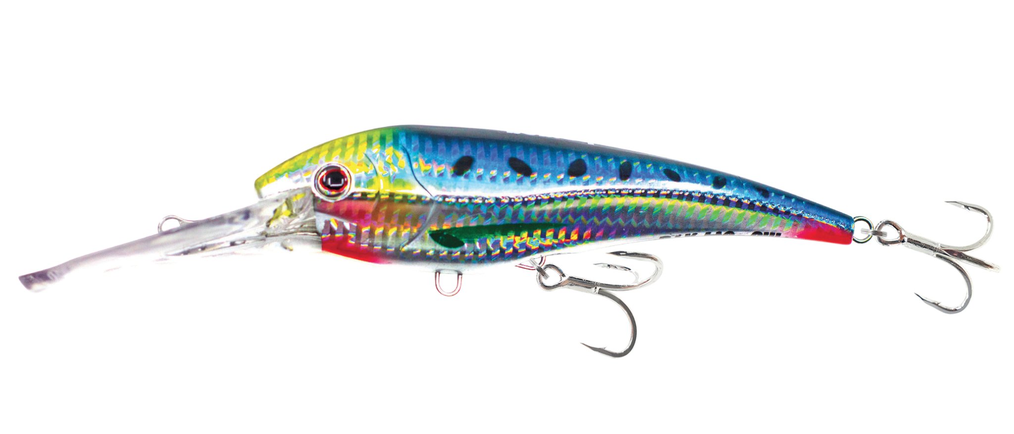 Sardine
