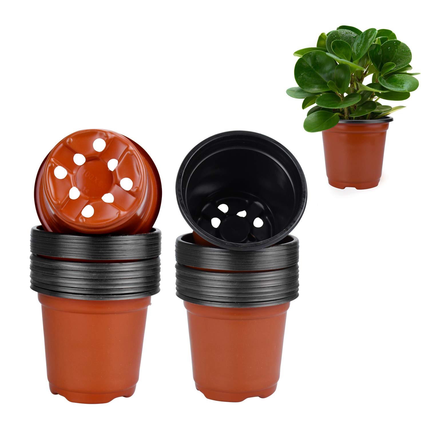 50 Pack 3.5 Inch Plastic Plant Pots - Small Flower Nursery Pots for Seedlings, Succulents & Indoor Plants | Perfect for Home Gardening, Repotting & DIY Projects (3.5 Inch, White)