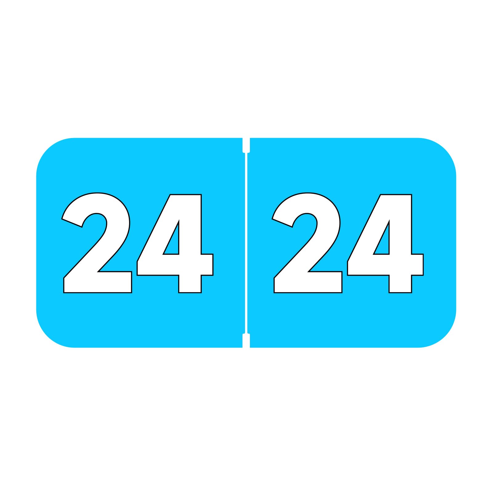 Starboling 2024 Year Stickers - 3/4