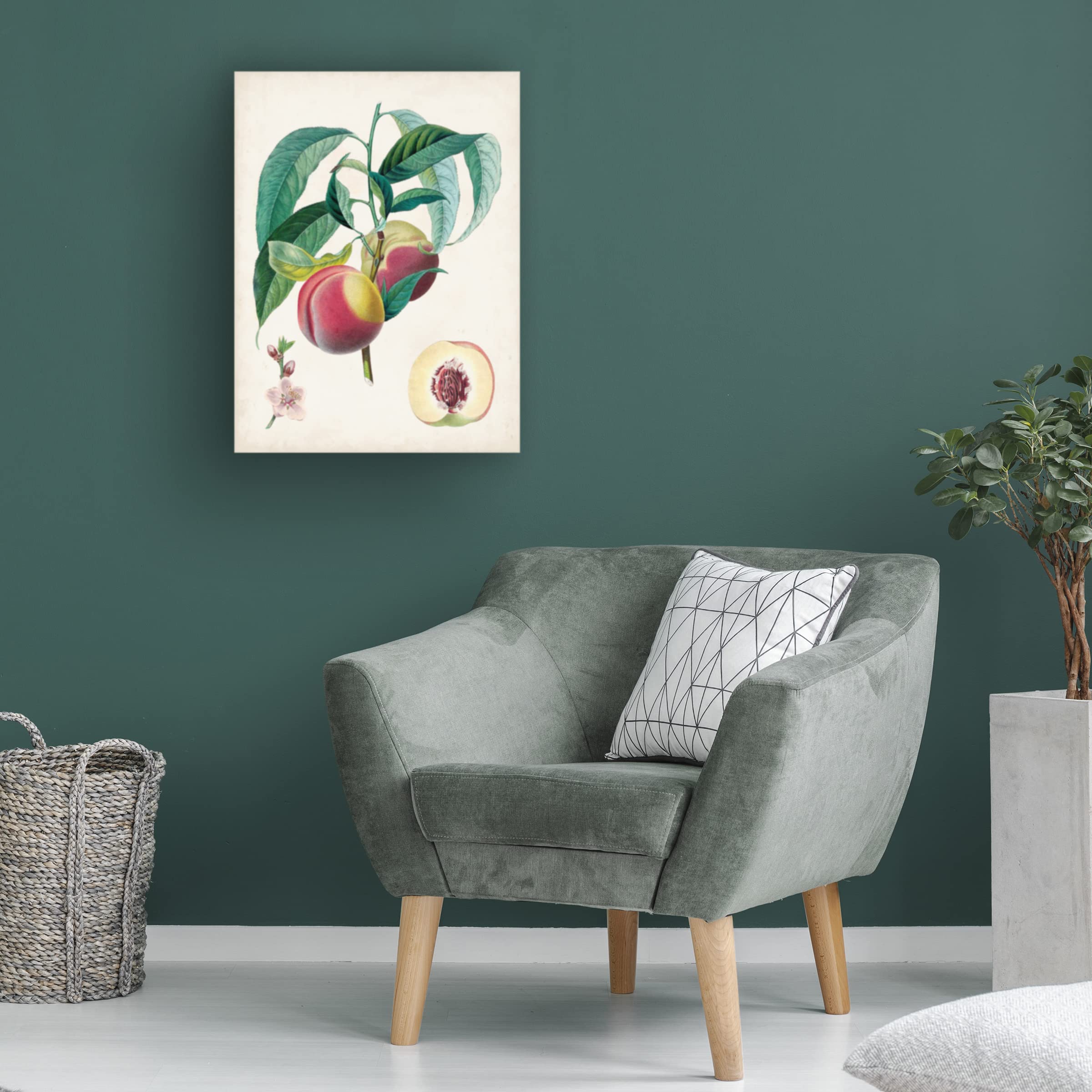 Trademark Fine Art 'Belle Bauce' Canvas Wall Art by Pierre Antoine Poiteau - Floral Painting for Living Room, Bedroom & Office Decor