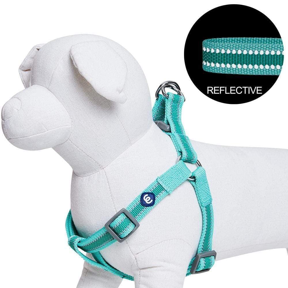 Blueberry Pet Essentials Reflective Step-in Dog Harness - Adjustable Mint Green Large (26