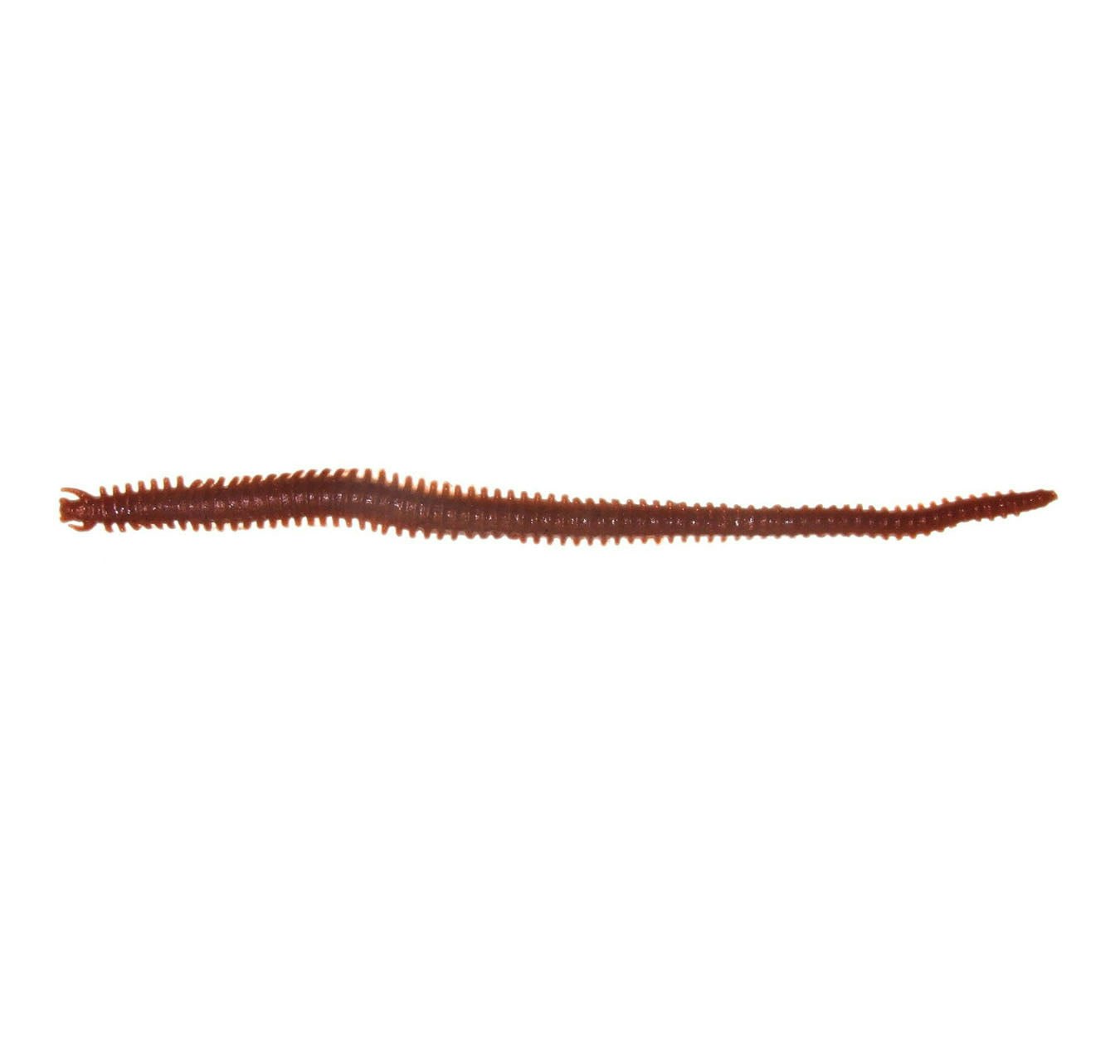 Berkley Gulp Sandworm 6