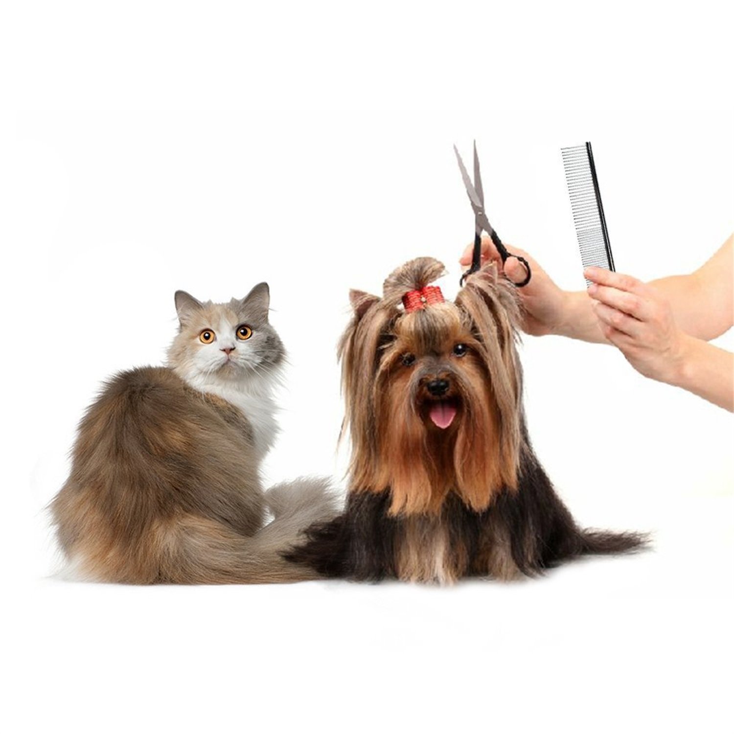 Premium Pet Grooming Brush - Stainless Steel Dematting Comb for Dogs & Cats with Medium/Coarse Fur (Greyhound, Puppy) - Ergonomic Handle, Different-Spaced Rounded Teeth - Perfect for Home Grooming & Professional Use