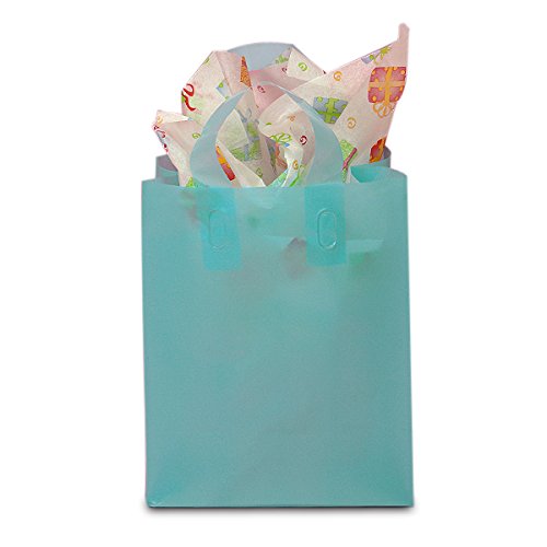250 Pack Light Blue Frosted Plastic Bags with Handles | 8