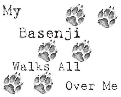 My Basenji Walks All Over Me Funny Dog Lover T-Shirt - Comfortable Cotton Pet Owner Apparel for Casual Wear & Dog Park Outings