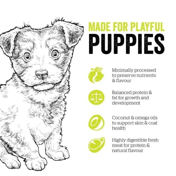 Now Fresh Turkey, Salmon & Duck Recipe Small Breed Puppy Dry Dog Food - Grain-Free, High-Protein Kibble for Toy & Mini Dogs - Perfect for Active Puppies, Training Treats & Sensitive Stomachs
