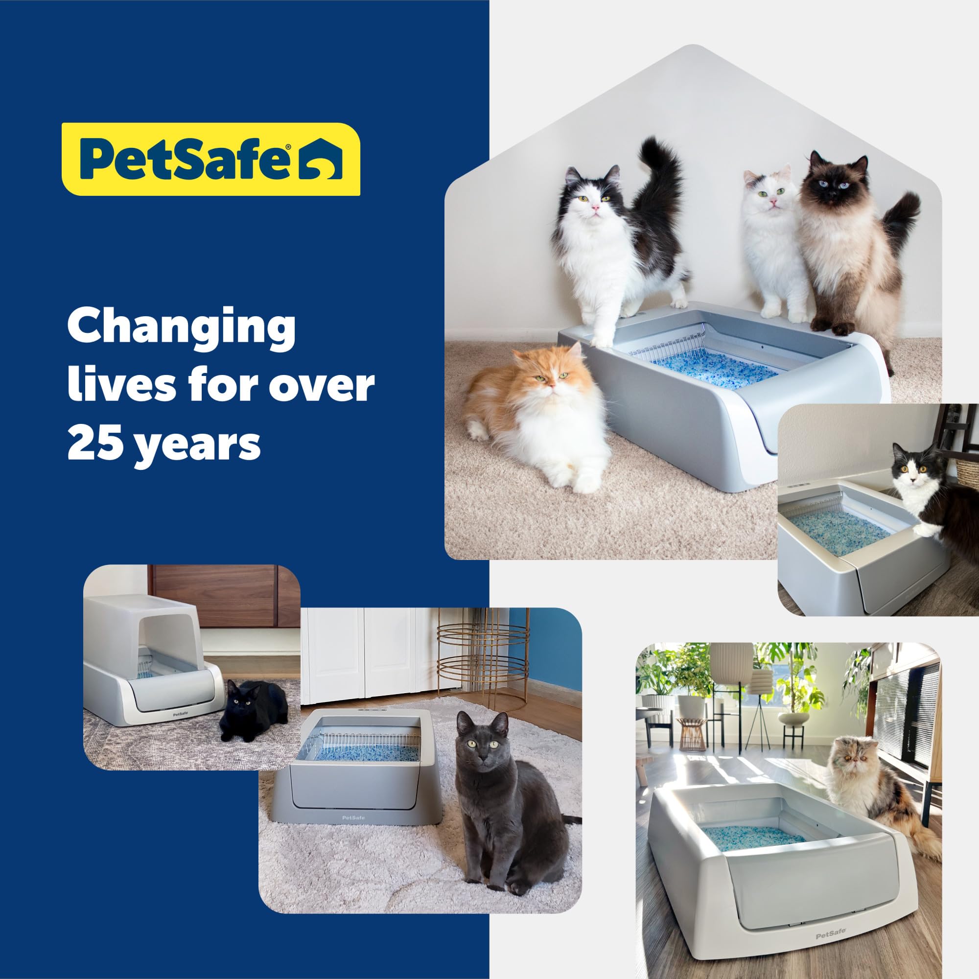 PetSafe ScoopFree Crystal Cat Litter & Refill Tray - Fragrance Free, 4.3 Lb per Tray (Pack of 6) | Low-Mess, Self-Cleaning Solution for Busy Cat Owners | Ideal for Multi-Cat Homes & Small Spaces