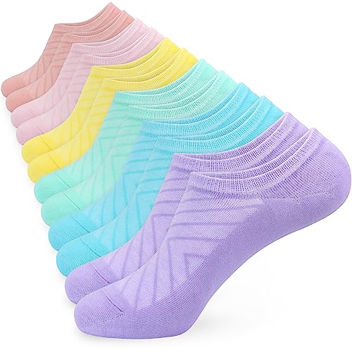Pink/Orange/Green/Purple/Blue/Yellow