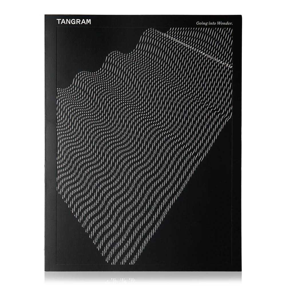 Tangram Vol 4 - Creative Puzzle Game for Kids & Adults | Brain Teaser & Educational Toy | Perfect for Family Game Night, Classroom Activities & Stress Relief