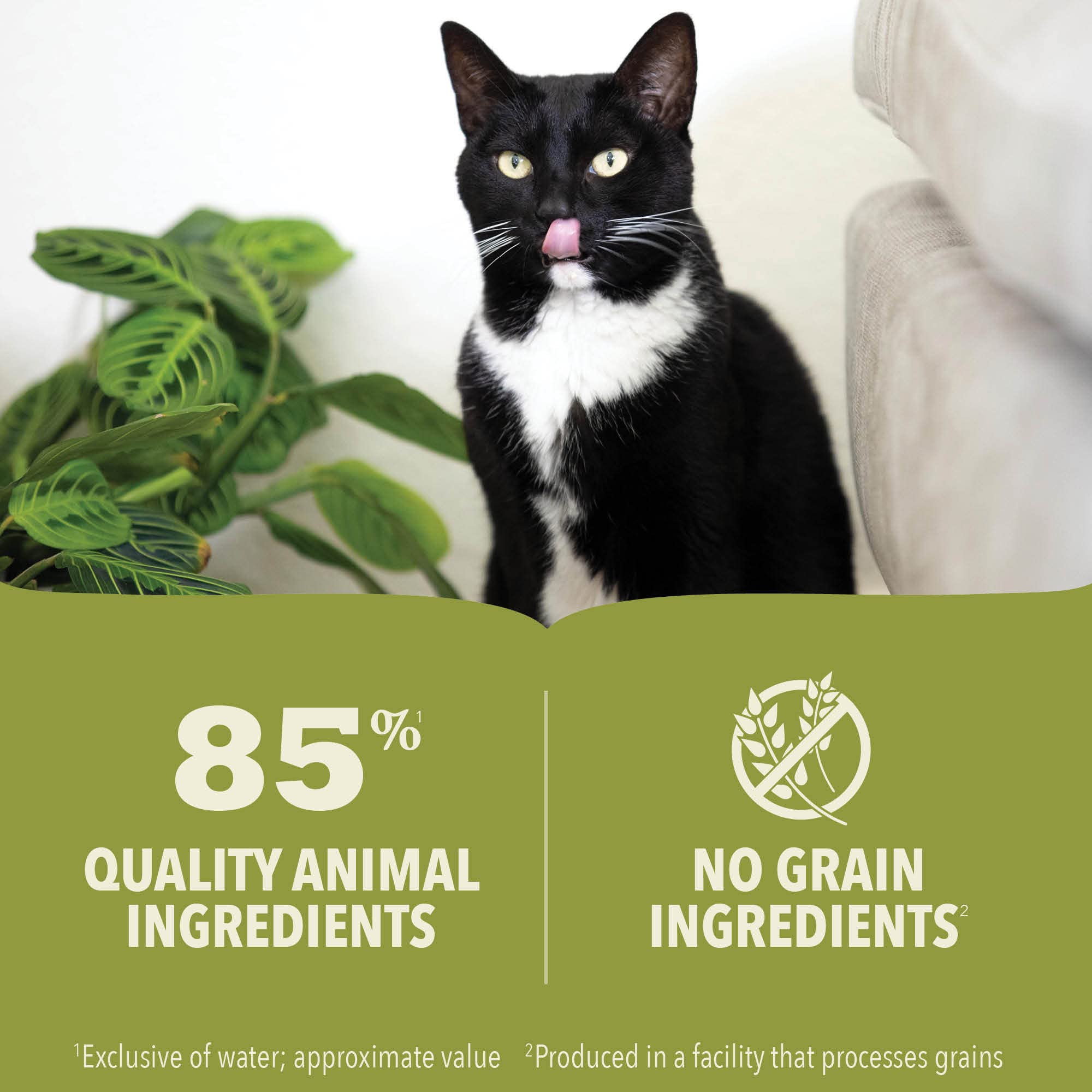 ACANA PREMIUM PATE Wet Cat Food - Tuna & Chicken in Bone Broth Recipe, Grain-Free with Raw Ingredients (3 oz, Pack of 24) | High Protein Meal for Adult Cats & Kittens | Perfect for Picky Eaters & Digestive Health