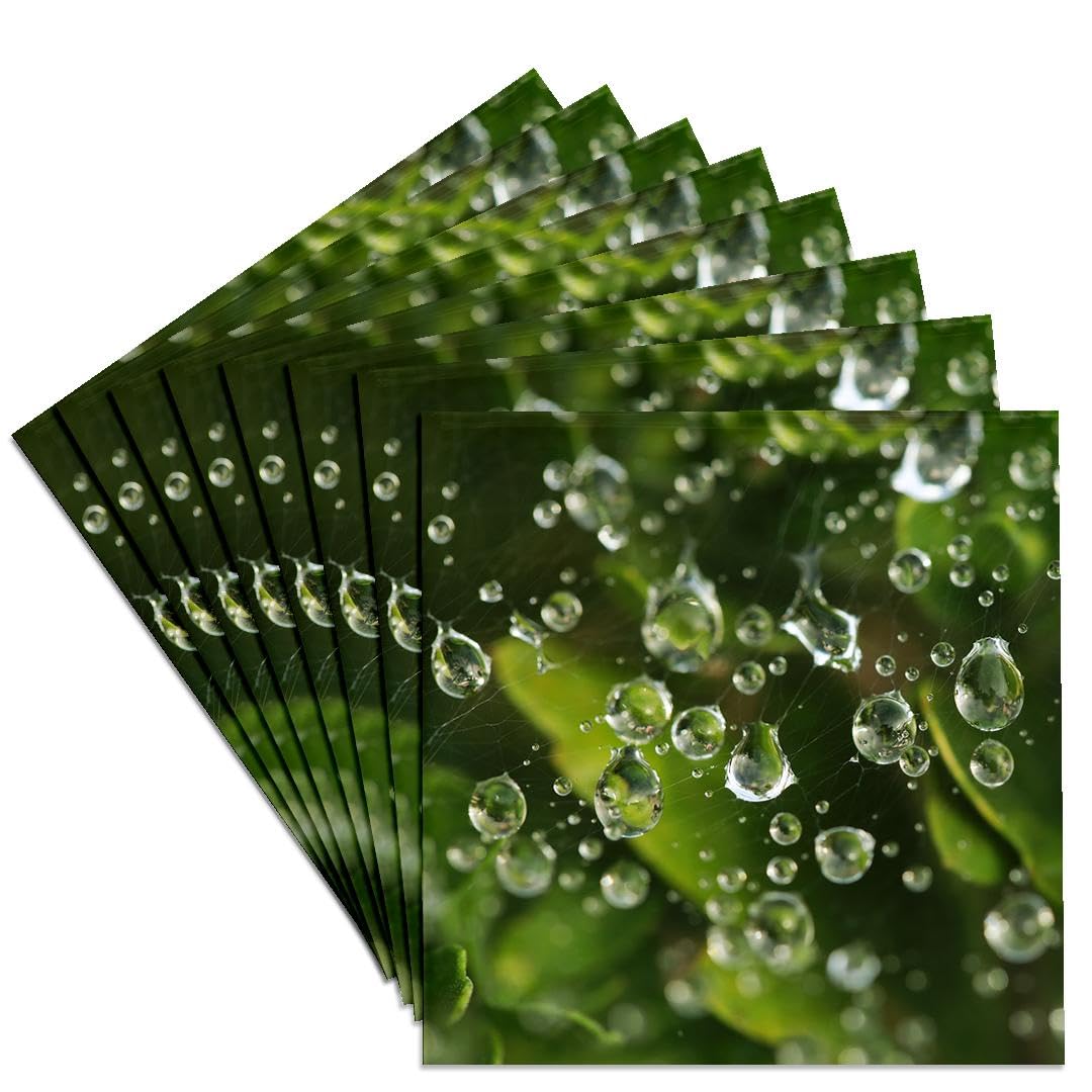 3dRose Macro Photograph of Raindrops on Spiderweb Over Green Leaves - Set of 8 Ceramic Tile Coasters for Home & Office Decor, Perfect for Coffee Tables, Desks, and Gifts