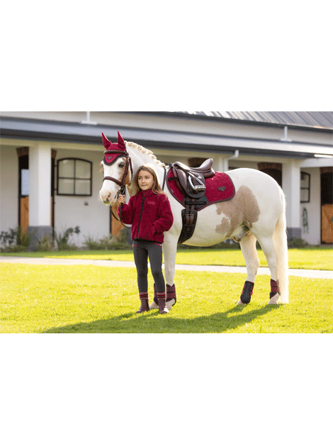 Le Mieux Mini Fly Hood for Horses - Autumn Colors Equestrian Riding Gear for Training & Show Jumping
