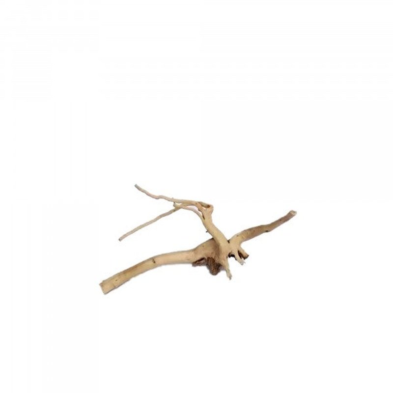 Natural Spider Wood for Aquarium Decor - Unique Driftwood for Fish Tank, Reptile Habitat & Terrarium - Perfect for Shrimp, Betta & Aquatic Plants - Enhances Natural Look & Water Quality