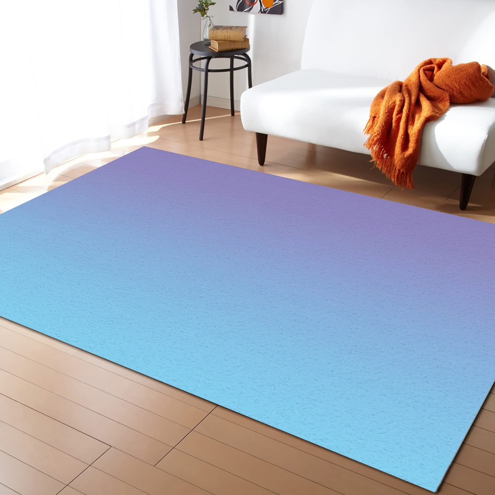 Large Non-Slip Area Rug 2'7