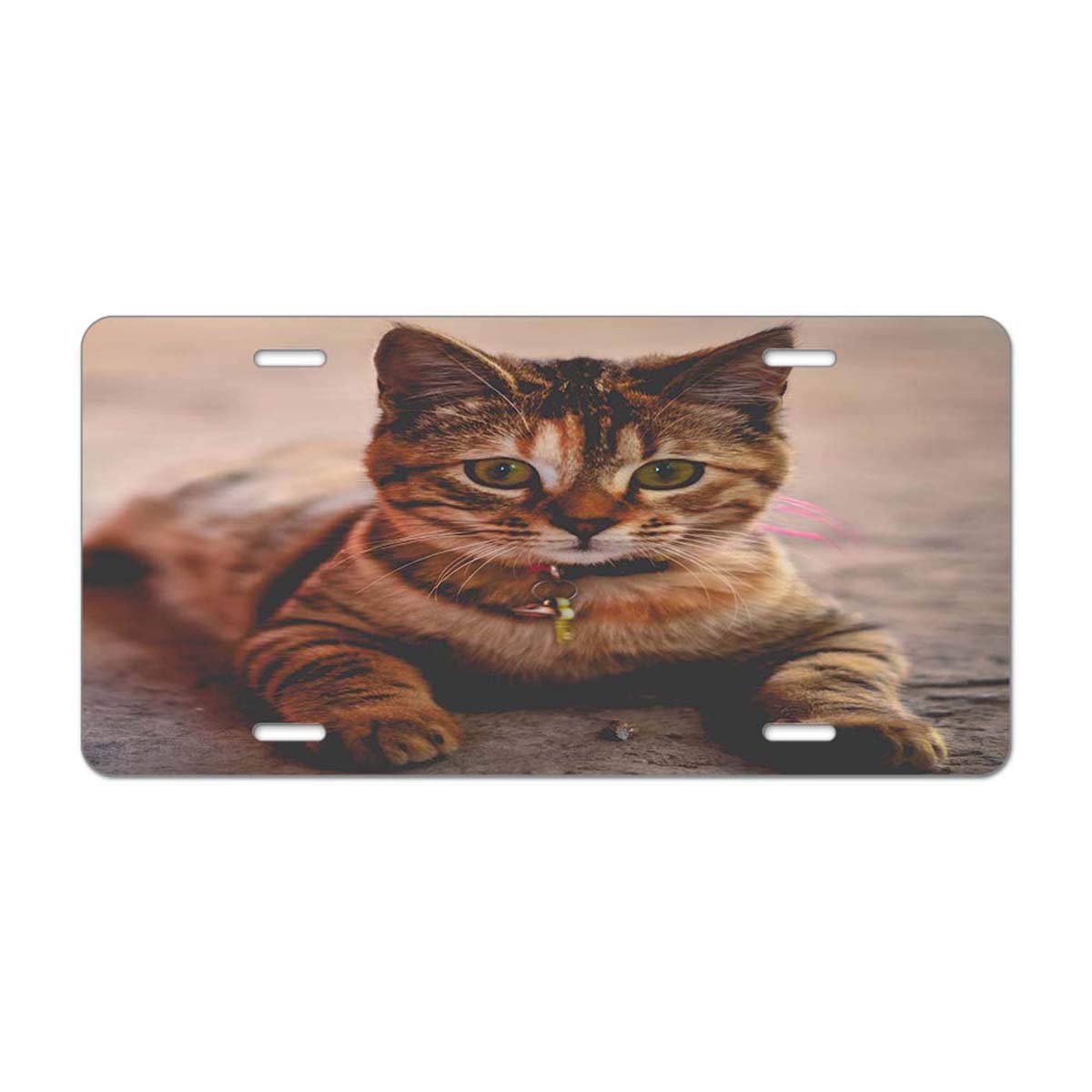 6x12 Inch Car License Plate Cover - Water Under The Tree Sketch Design, Decorative Metal Boat Tag with 4 Holes | Perfect for Cars, Trucks & Outdoor Themed Vehicles