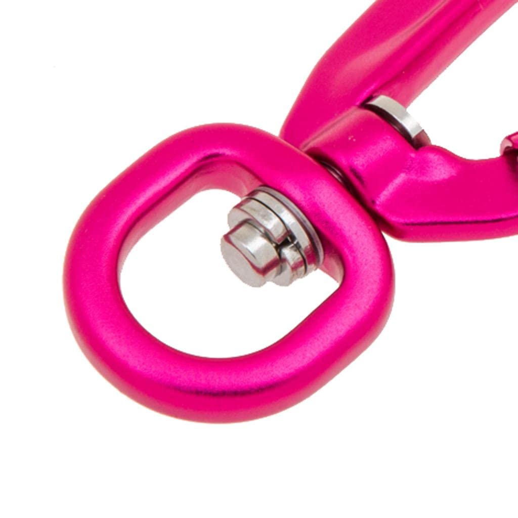 Self Locking Carabiner Clip - Heavy Duty D-Ring Keychain Hook with Rotating Ring for Outdoor Hiking, Camping, Hammock, Backpack & Gear Organization (2 Pack)
