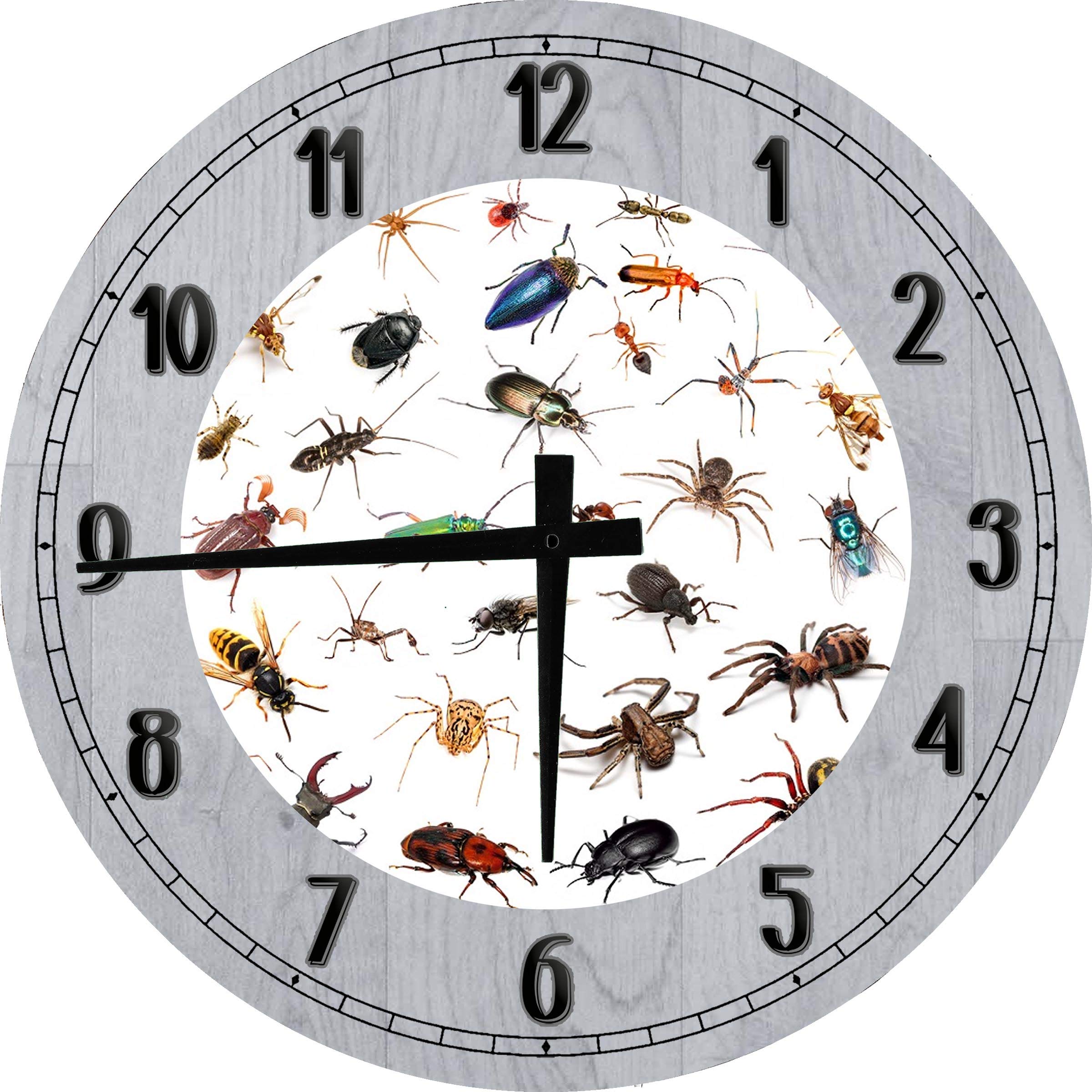 Large 18 Inch Gray Wooden Wall Clock with Bug Art - Science Themed Decor for Kids Bedroom, Playroom & Classroom | Educational Insect Wall Clock