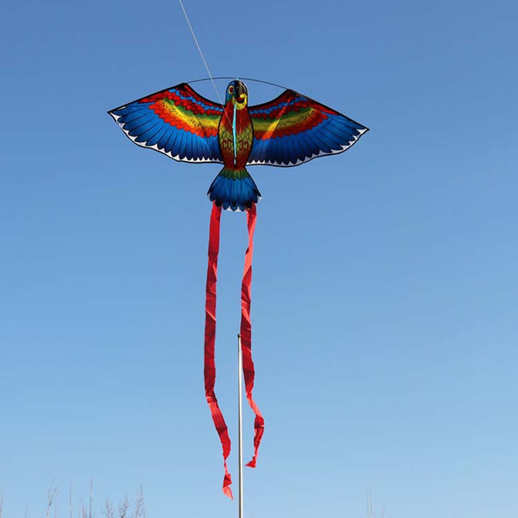 Colorful Parrot Kite - Large Bird Shaped Outdoor Flying Toy for Kids & Children - High Quality Single Piece Kite for Beach, Park & Backyard Play - Random Color Selection