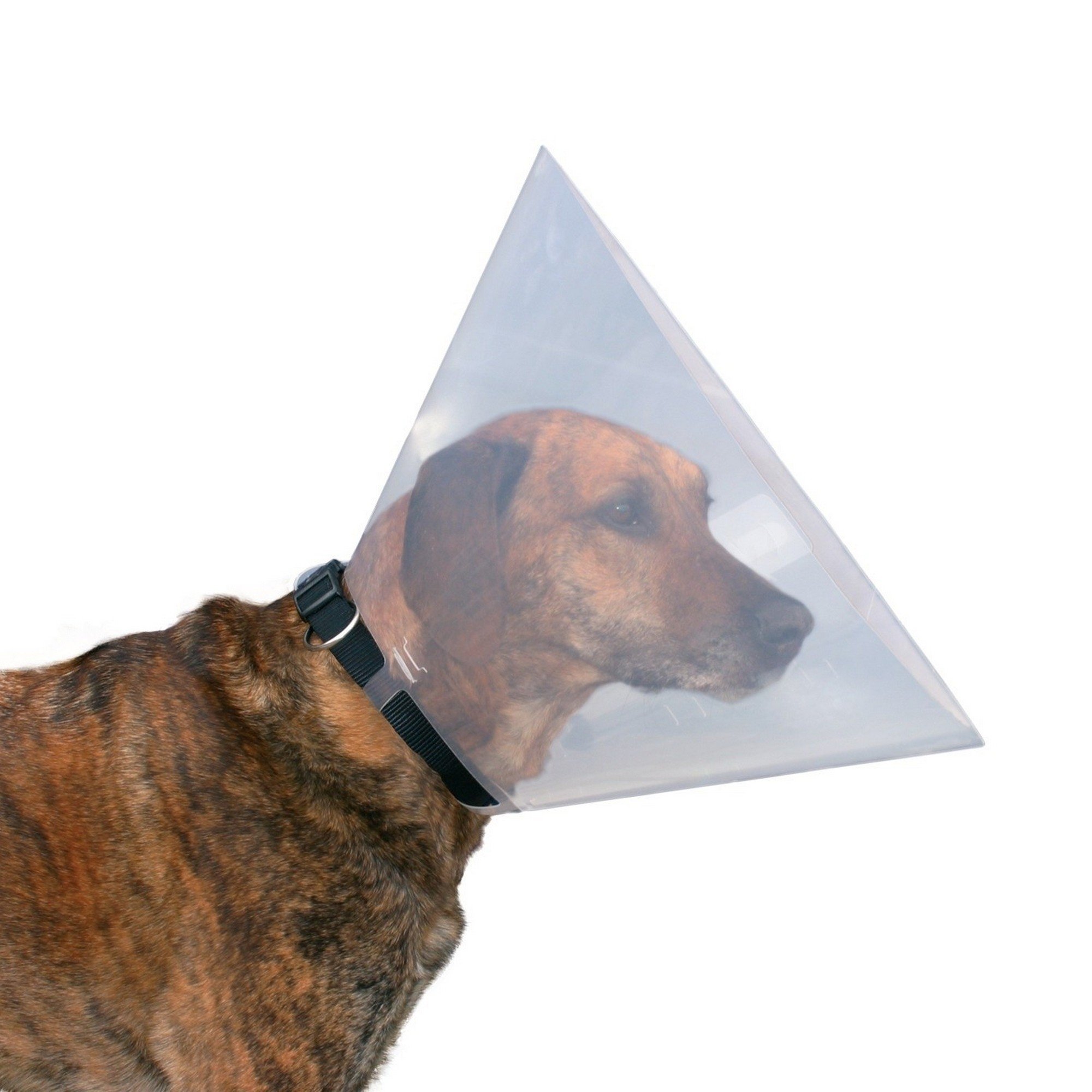 Trixie Protective Dog Collar & E-Collar for Medium Dogs - Soft Recovery Cone for Post-Surgery & Wound Protection