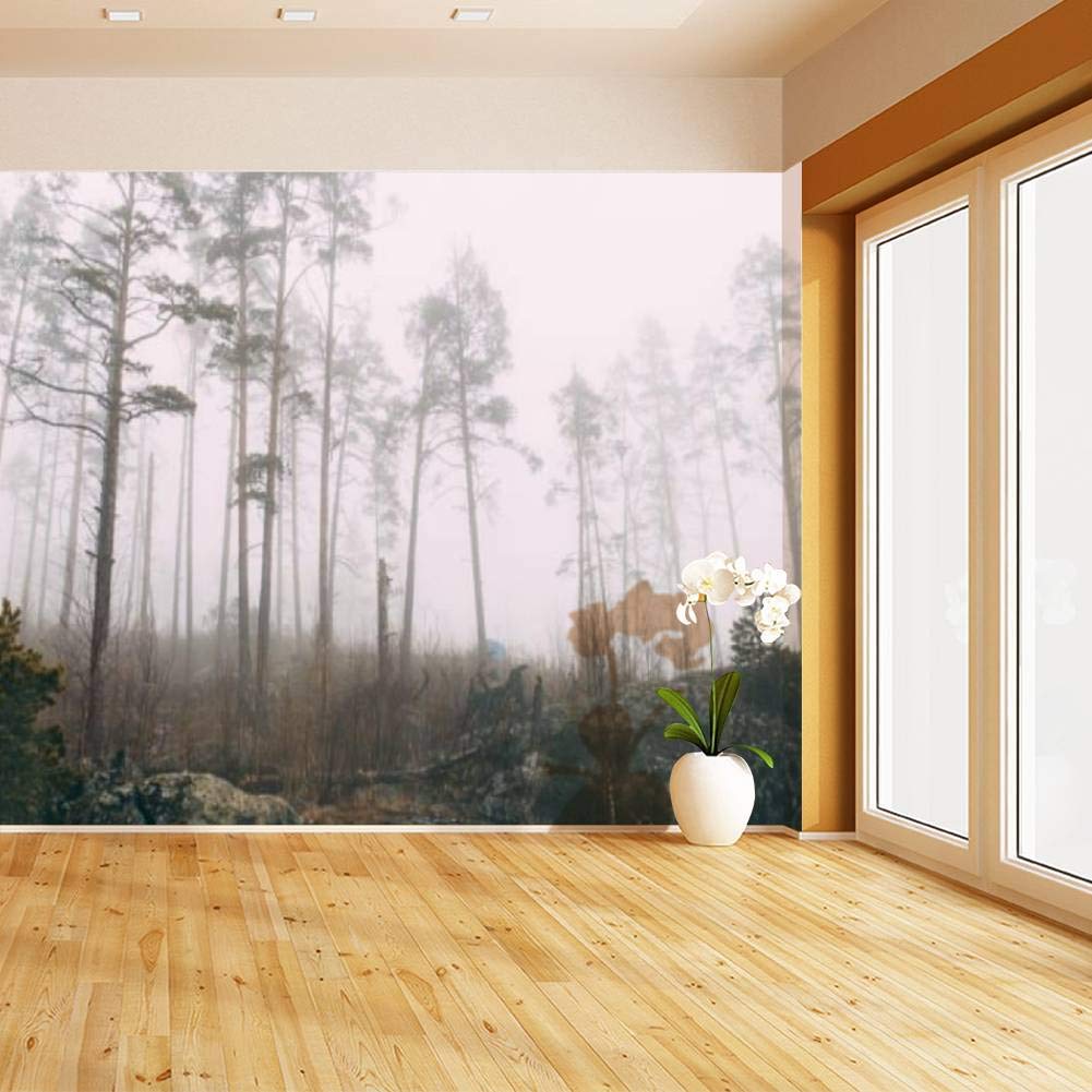Self-Adhesive Removable Peel & Stick Forest Wall Mural - Grey Lightweight Tent in Foggy Mystic Forest Wallpaper for Living Room Decor | Home Craft Wall Decal, Wall Poster Sticker | Perfect for Bedroom, Nursery & Office Wall Art