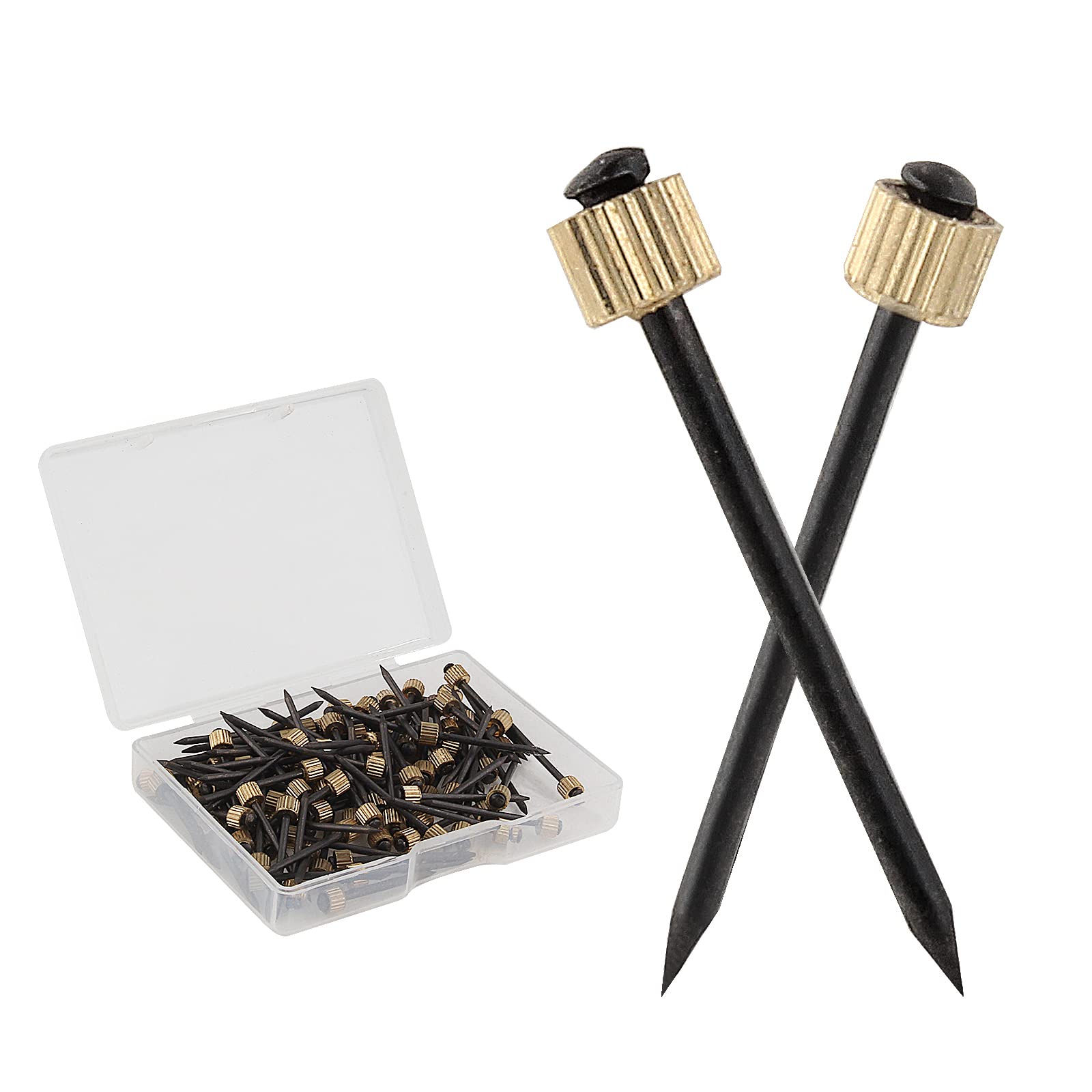 100Pcs Picture Hanging Nails Kit - Heavy Duty Wall Hooks for Frames & Paintings (5-30 lbs Capacity) - Ideal for Home Decor, Gallery Walls & Office Art Displays