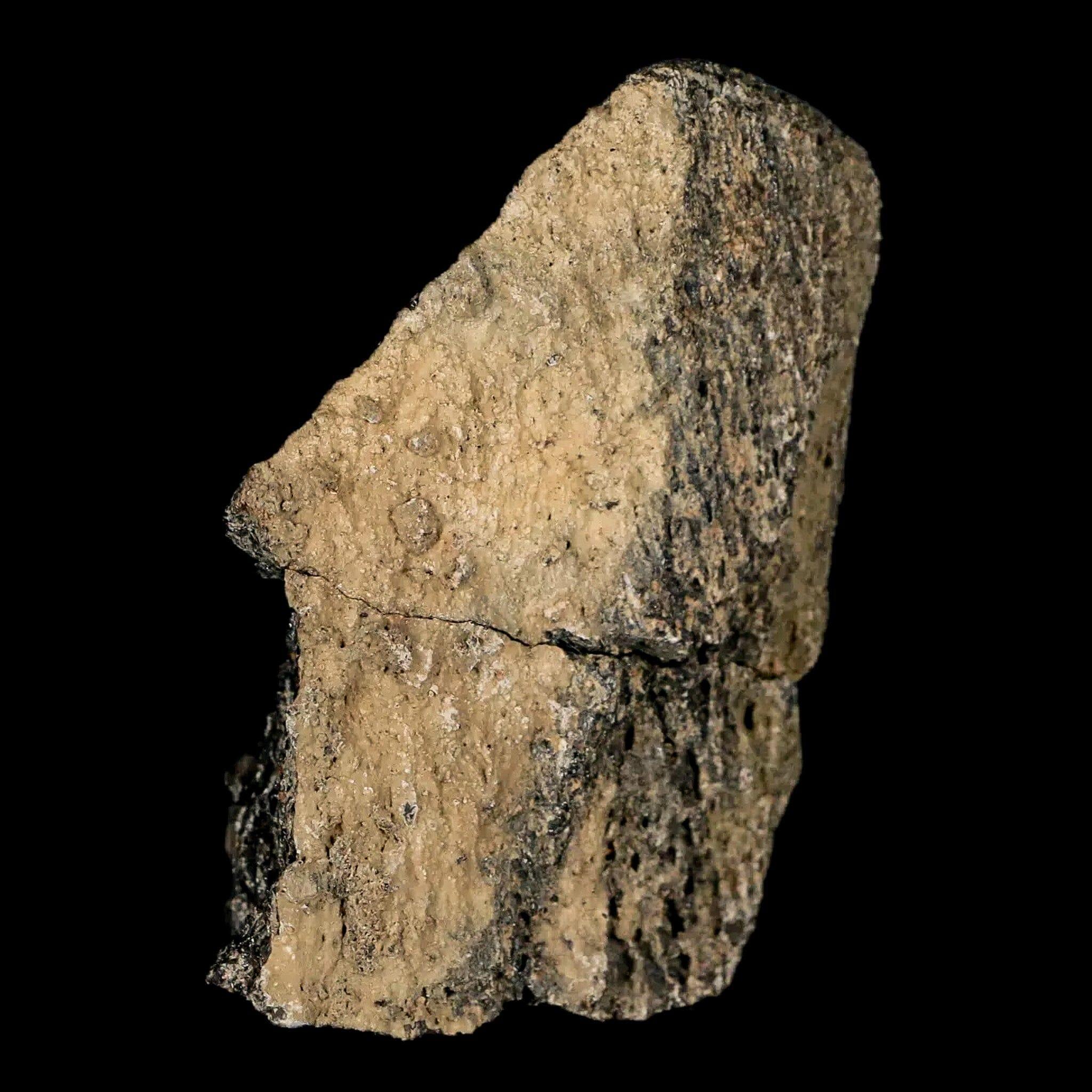 2.5